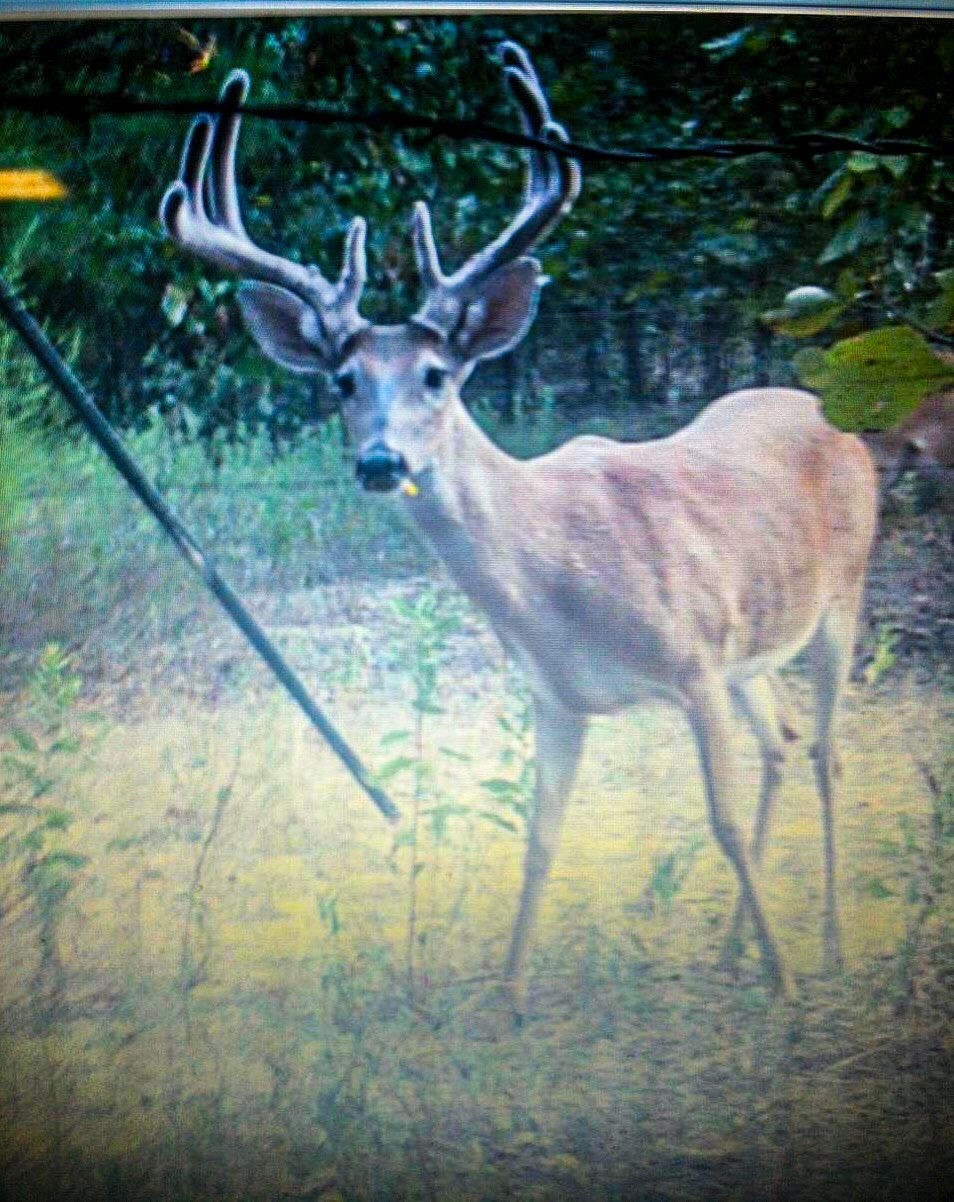 000 County Road 4520 Larue TX 75770