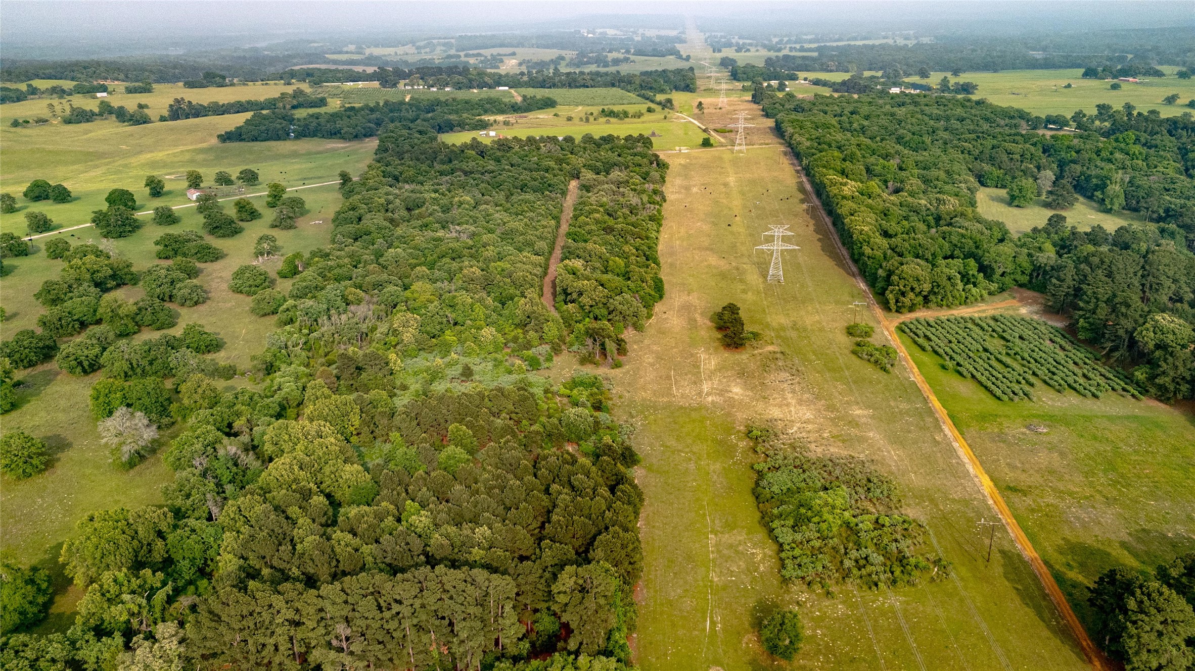 000 County Road 4520 Larue TX 75770