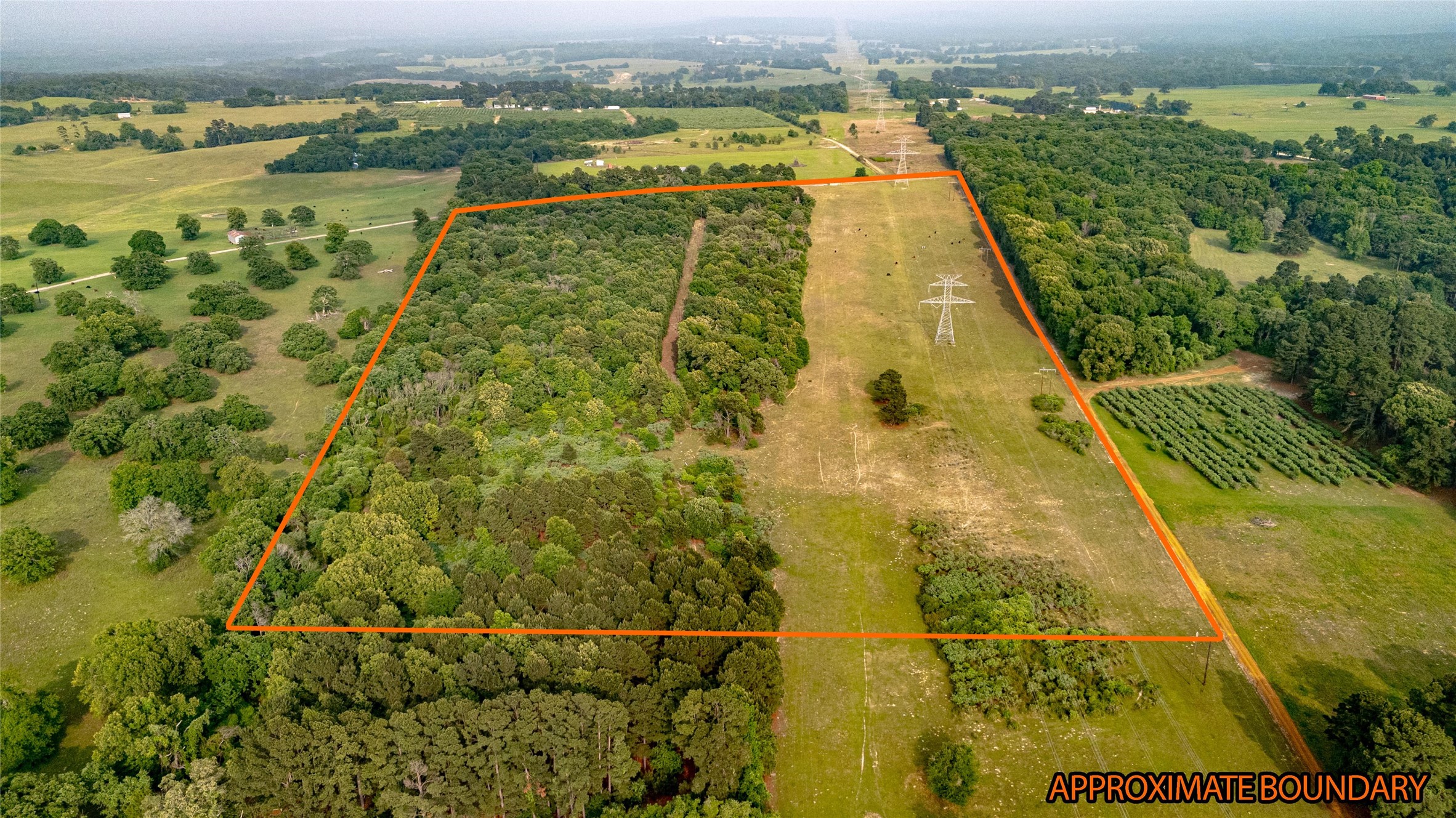 000 County Road 4520 Larue TX 75770