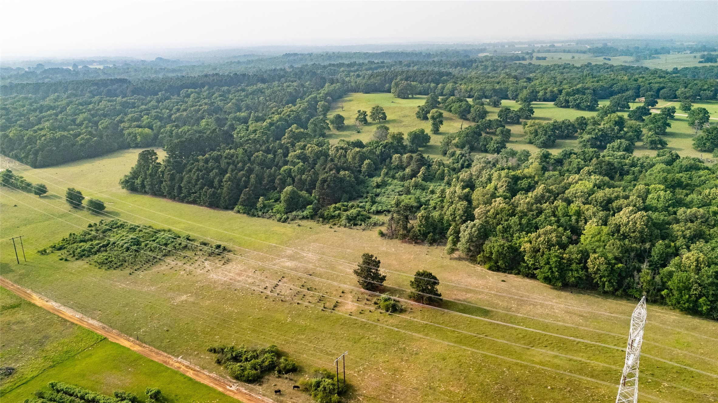 000 County Road 4520 Larue TX 75770
