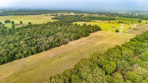 000 County Road 4520 Larue TX 75770