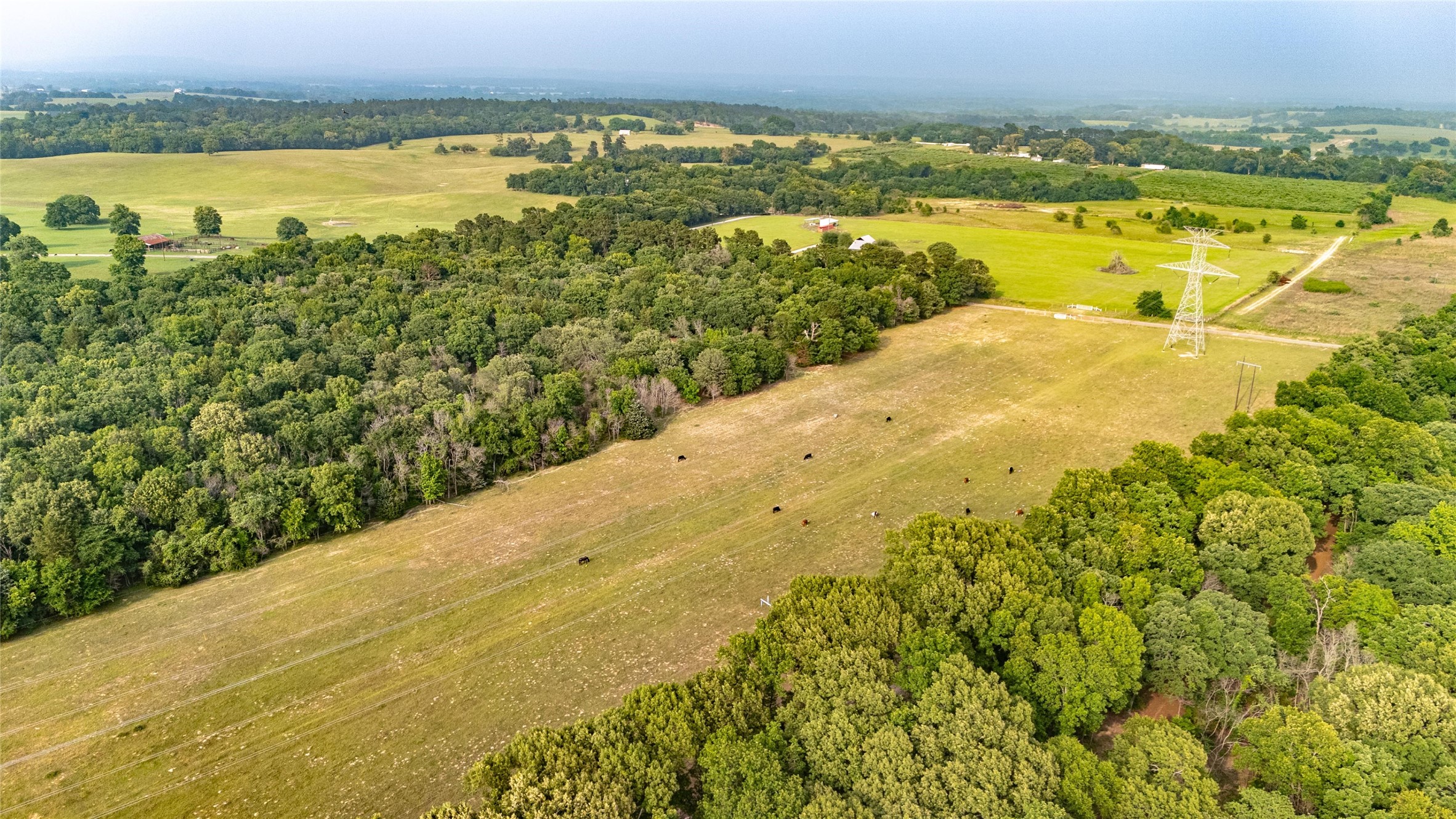 000 County Road 4520 Larue TX 75770