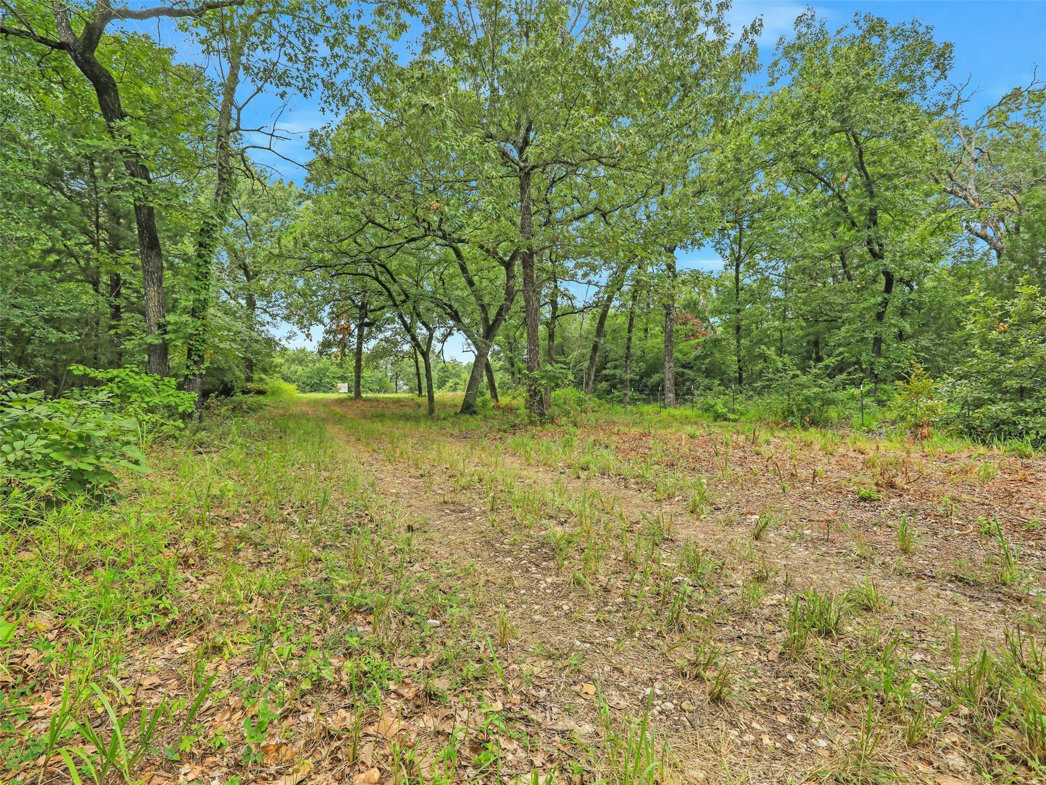 37100 County Road Paris TX 75462