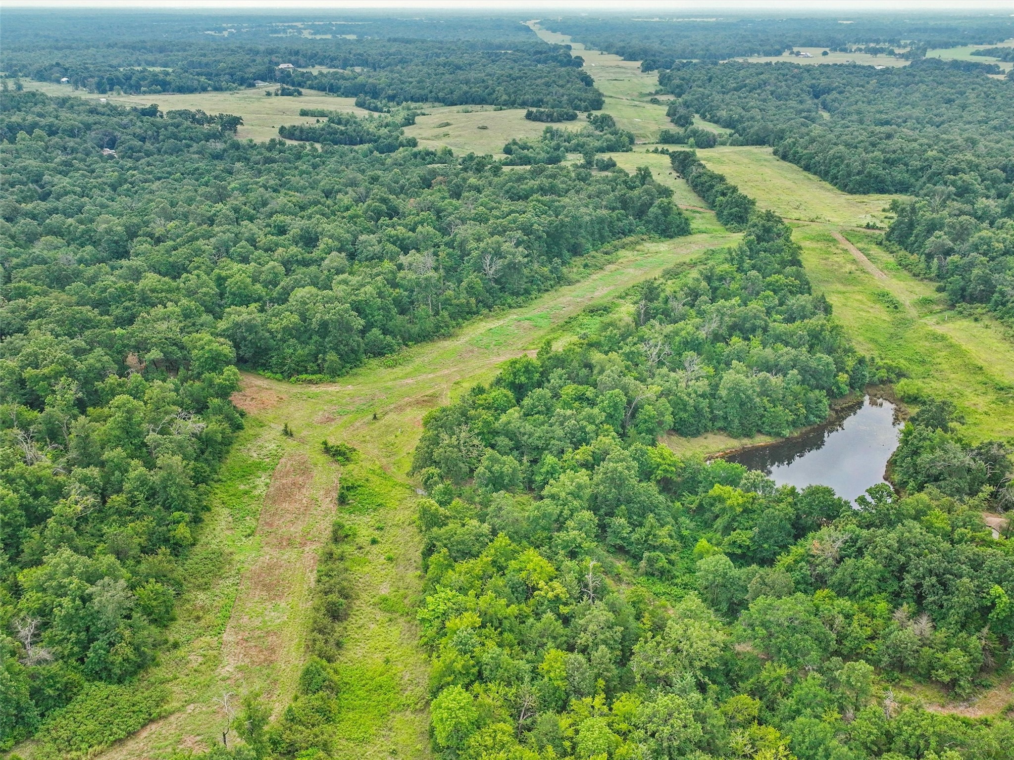 37100 County Road Paris TX 75462