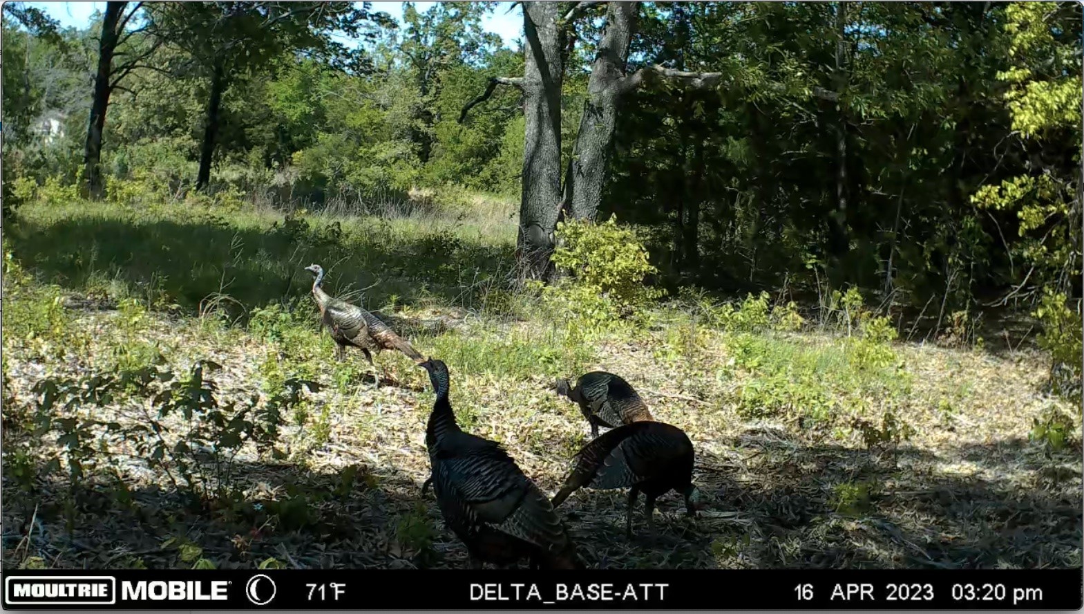 37100 County Road Paris TX 75462