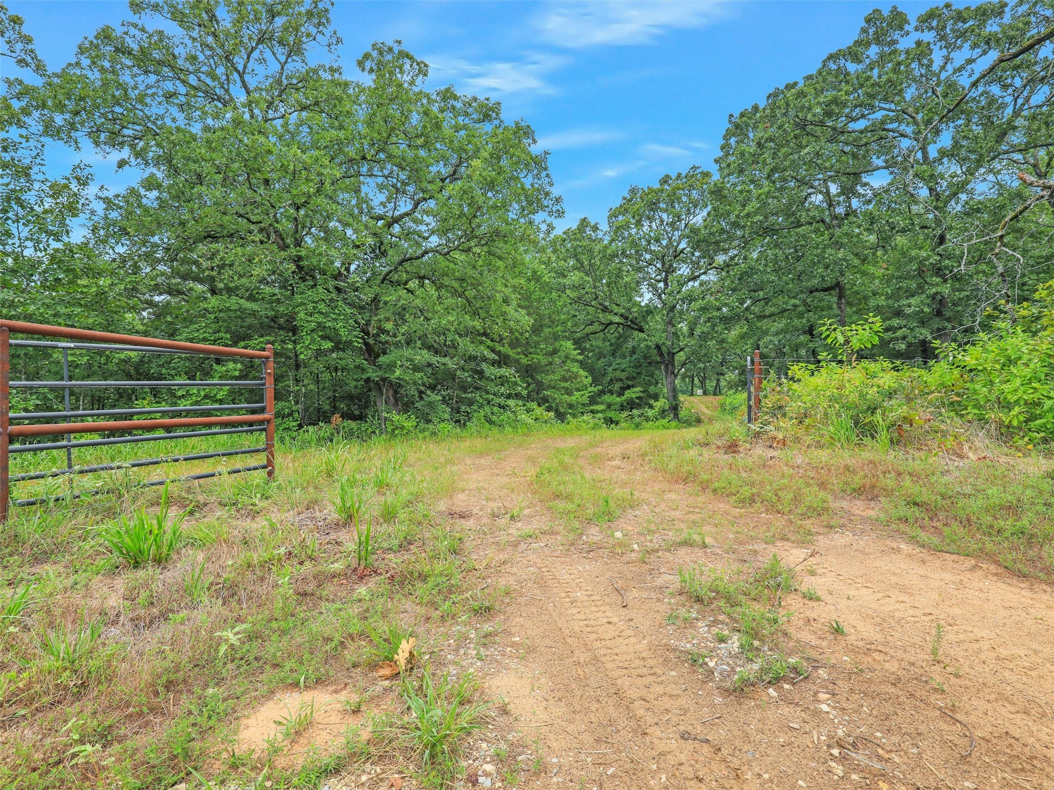 37100 County Road Paris TX 75462