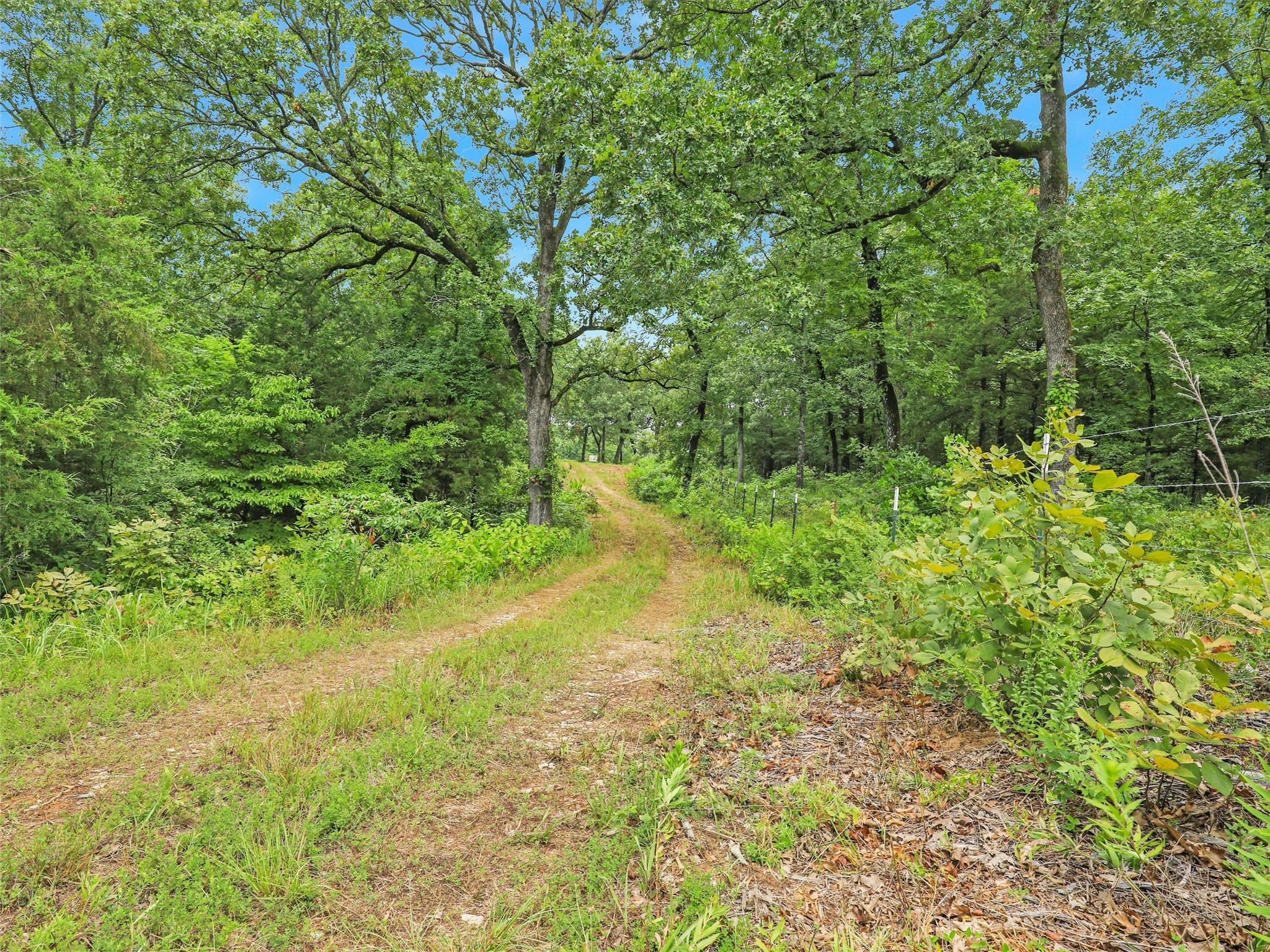 37100 County Road Paris TX 75462