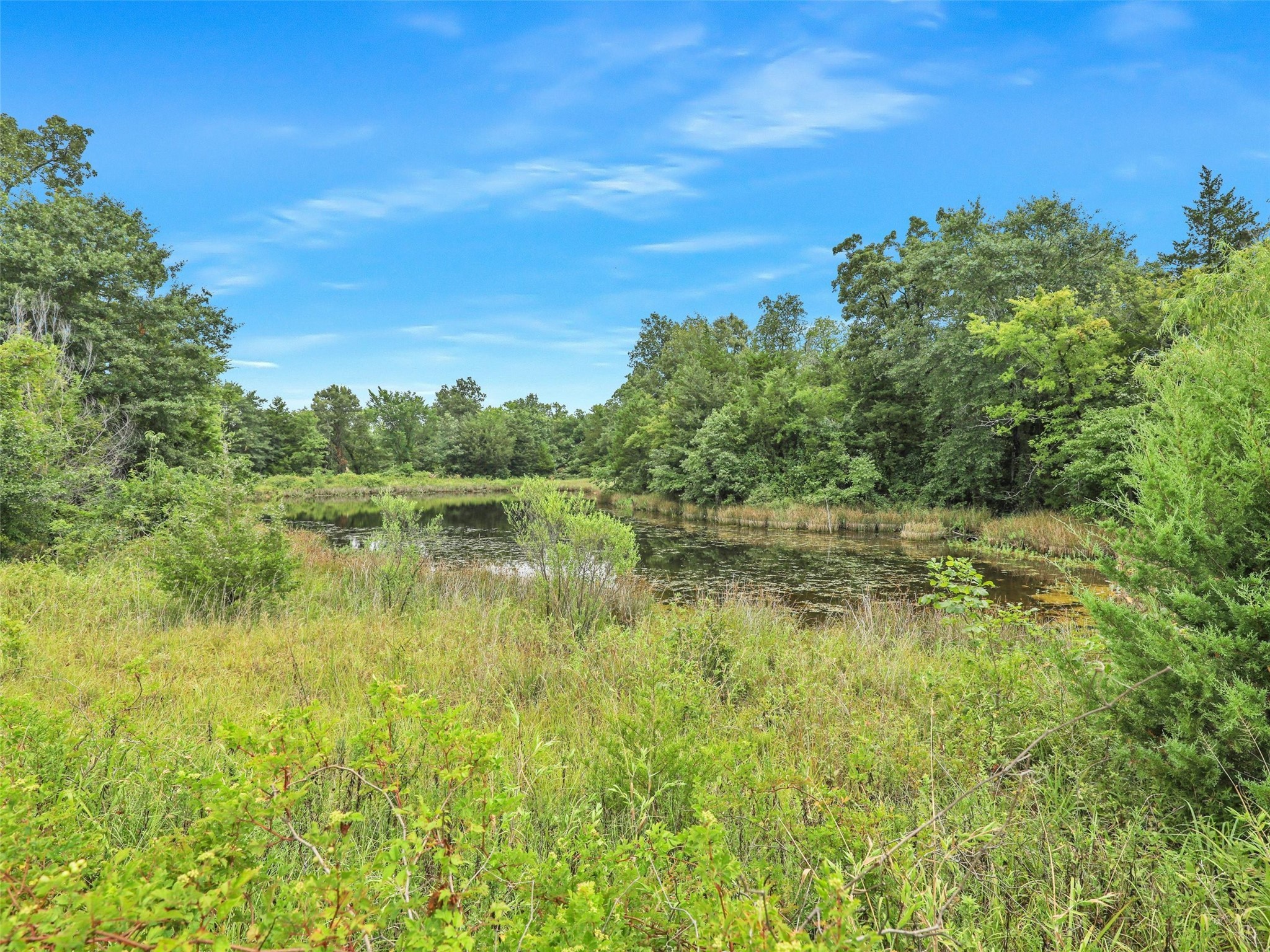 37100 County Road Paris TX 75462