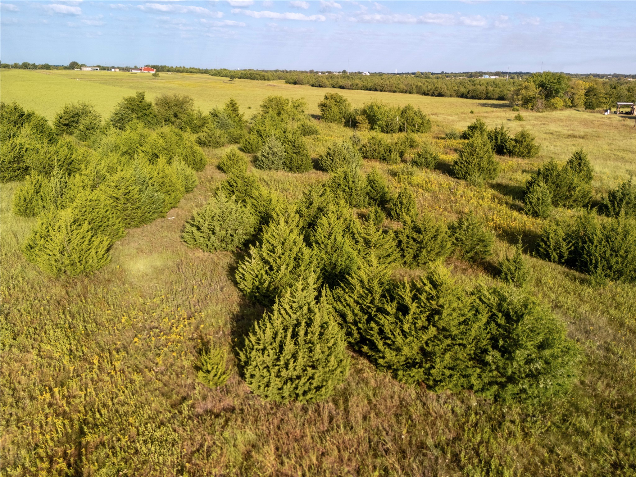 Tbd Private Road 2737 Caddo Mills TX 75135