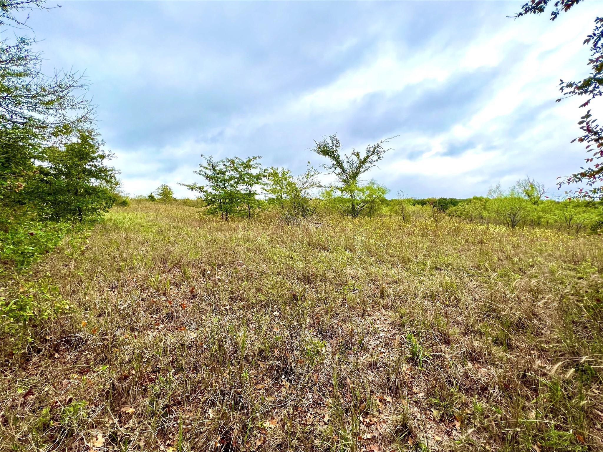 Tbd Cr-2117 Gainesville TX 76240