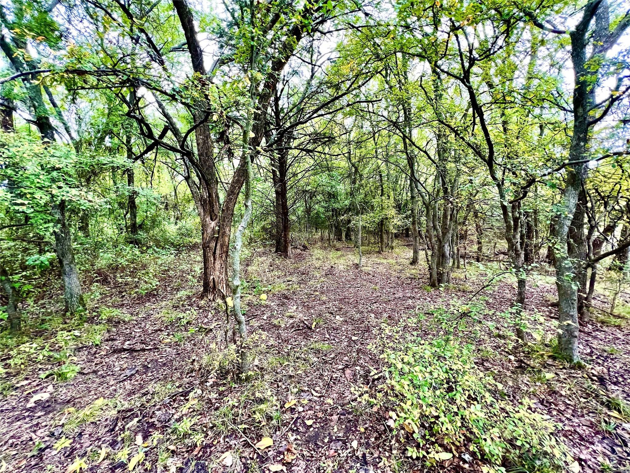 Tbd Cr-2117 Gainesville TX 76240