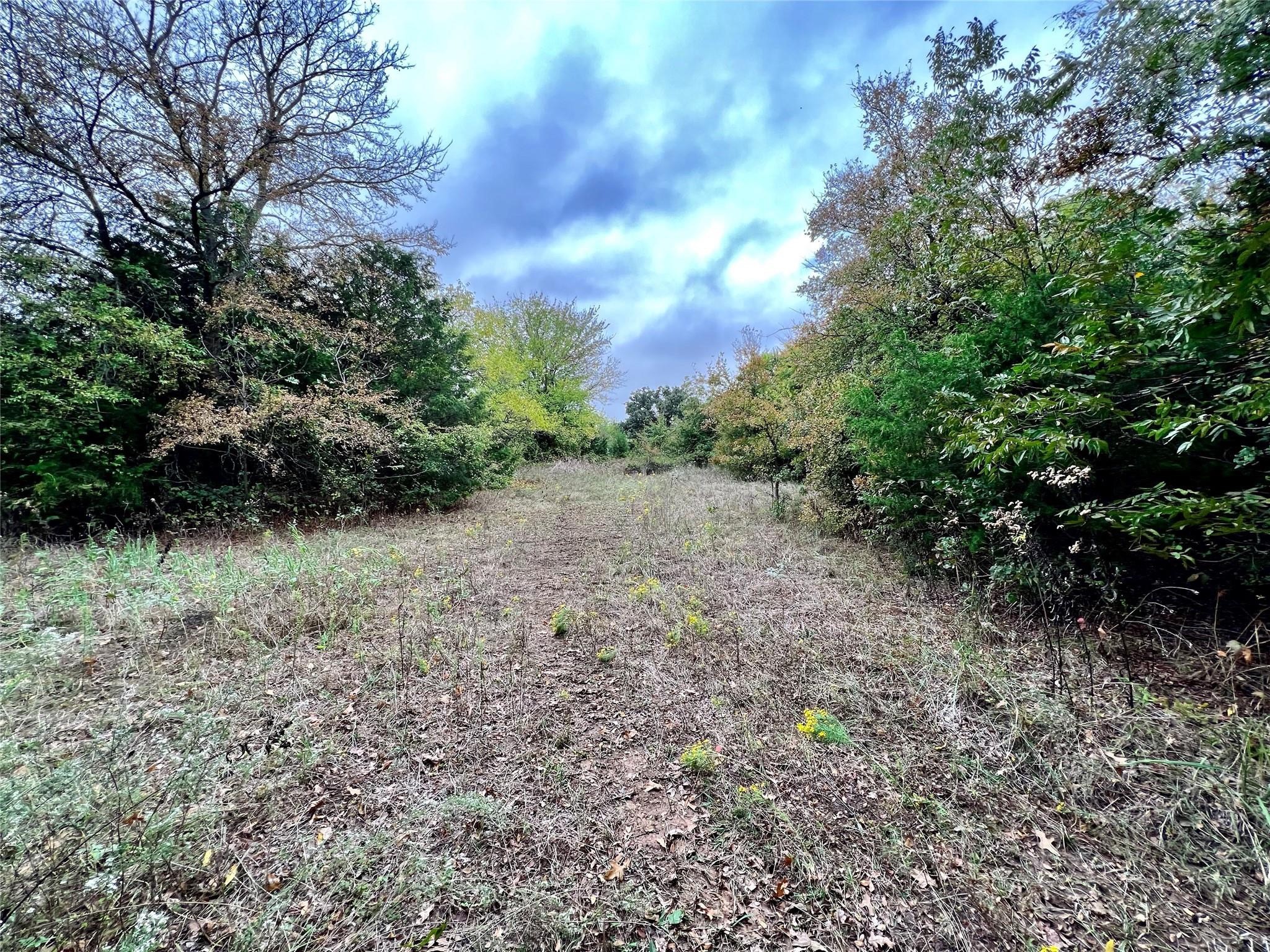 Tbd Cr-2117 Gainesville TX 76240