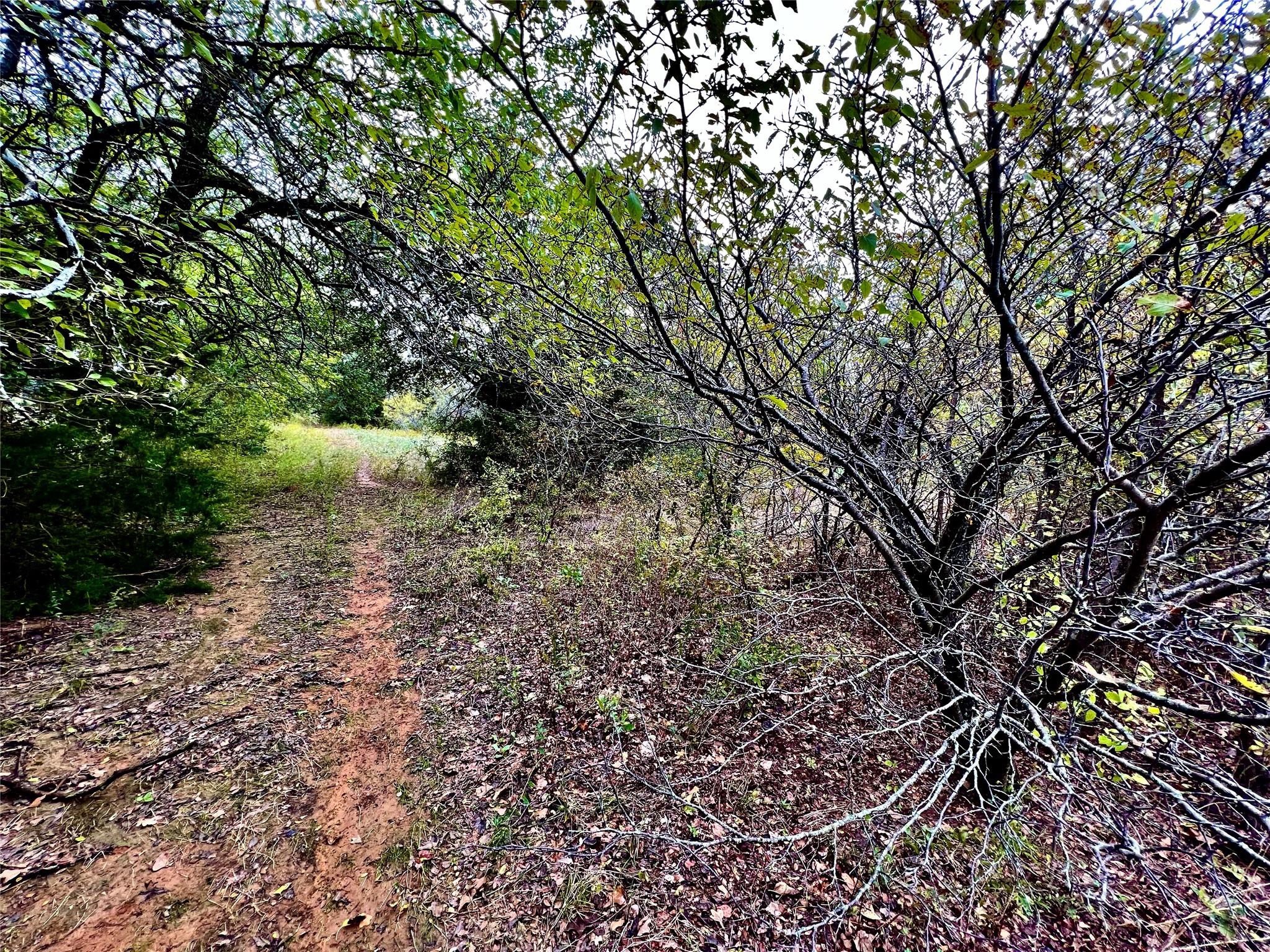 Tbd Cr-2117 Gainesville TX 76240