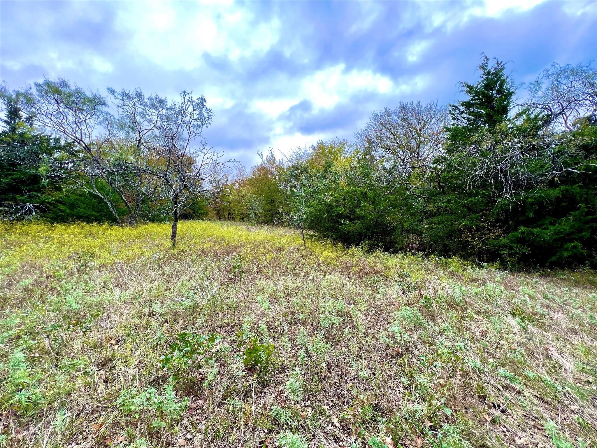 Tbd Cr-2117 Gainesville TX 76240