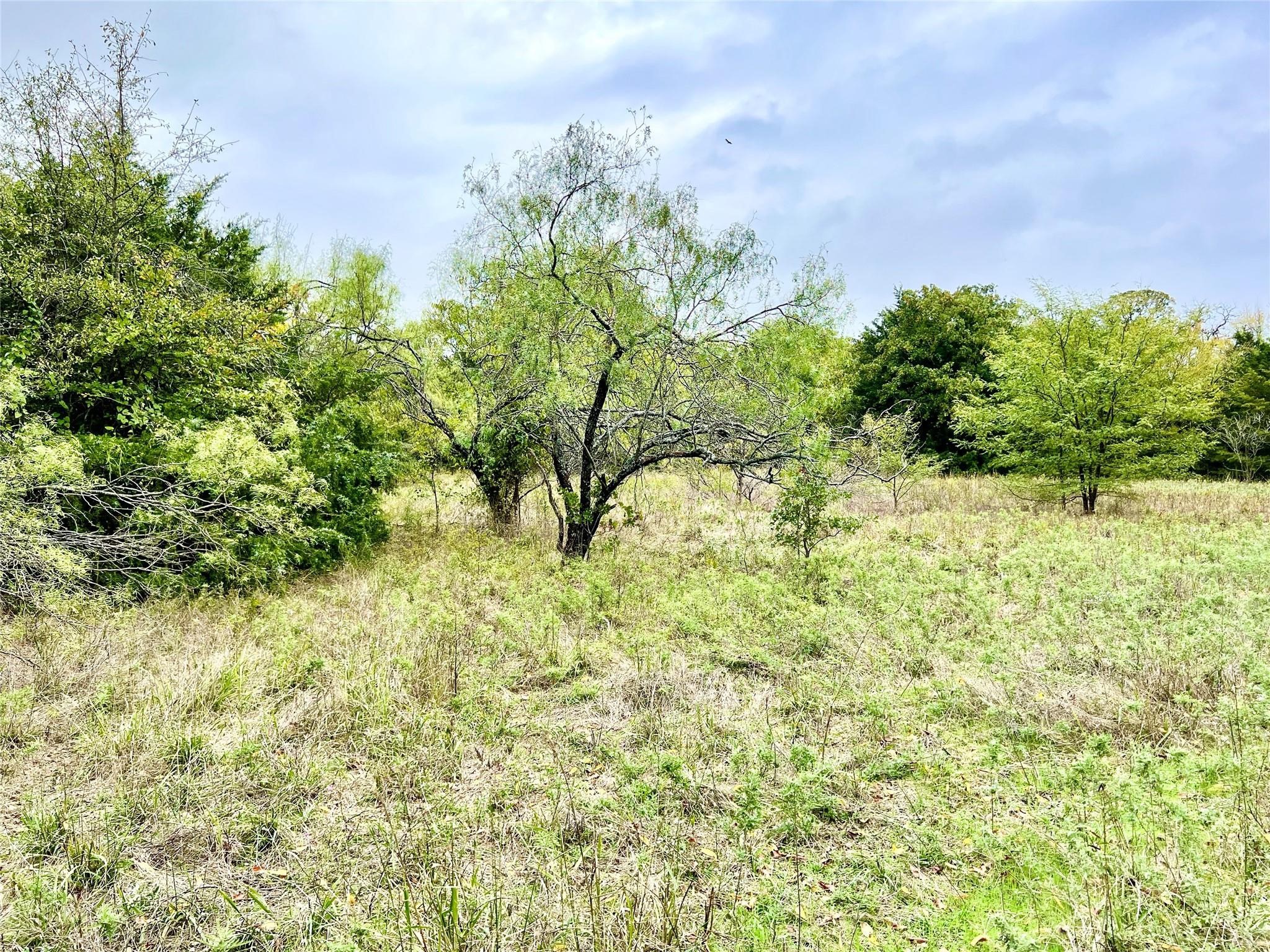 Tbd Cr-2117 Gainesville TX 76240