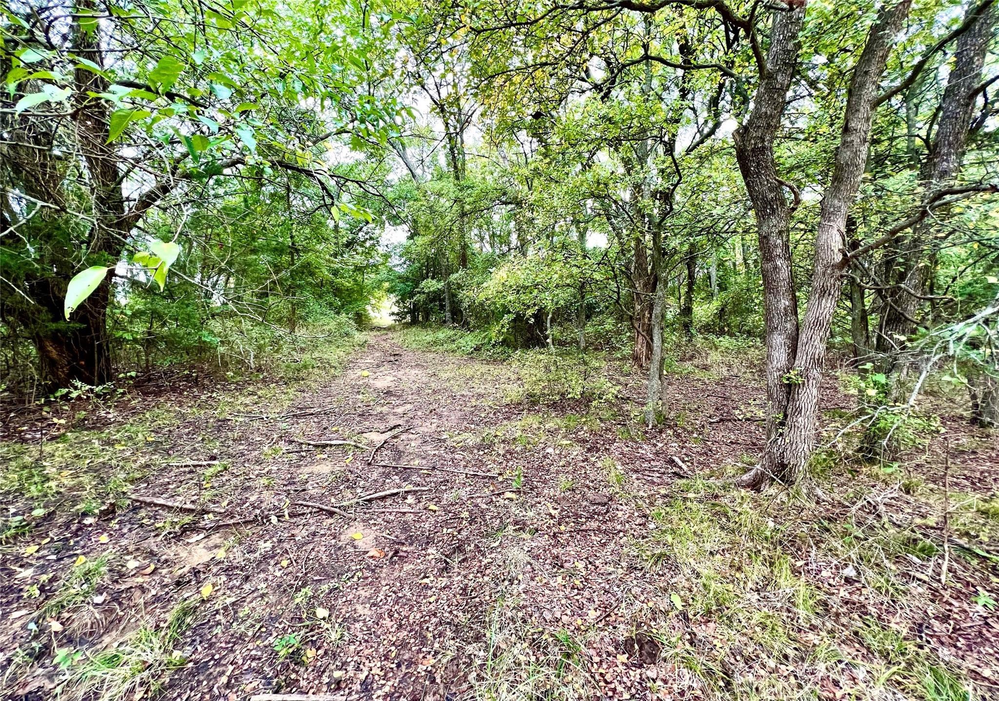 Tbd Cr-2117 Gainesville TX 76240