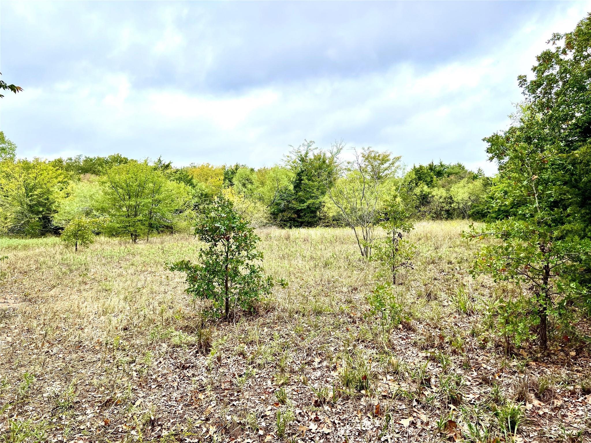 Tbd Cr-2117 Gainesville TX 76240