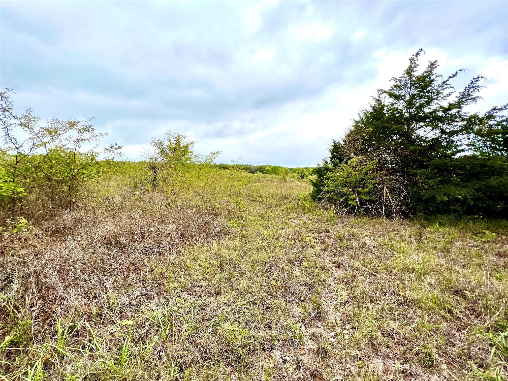Tbd Cr-2117 Gainesville TX 76240