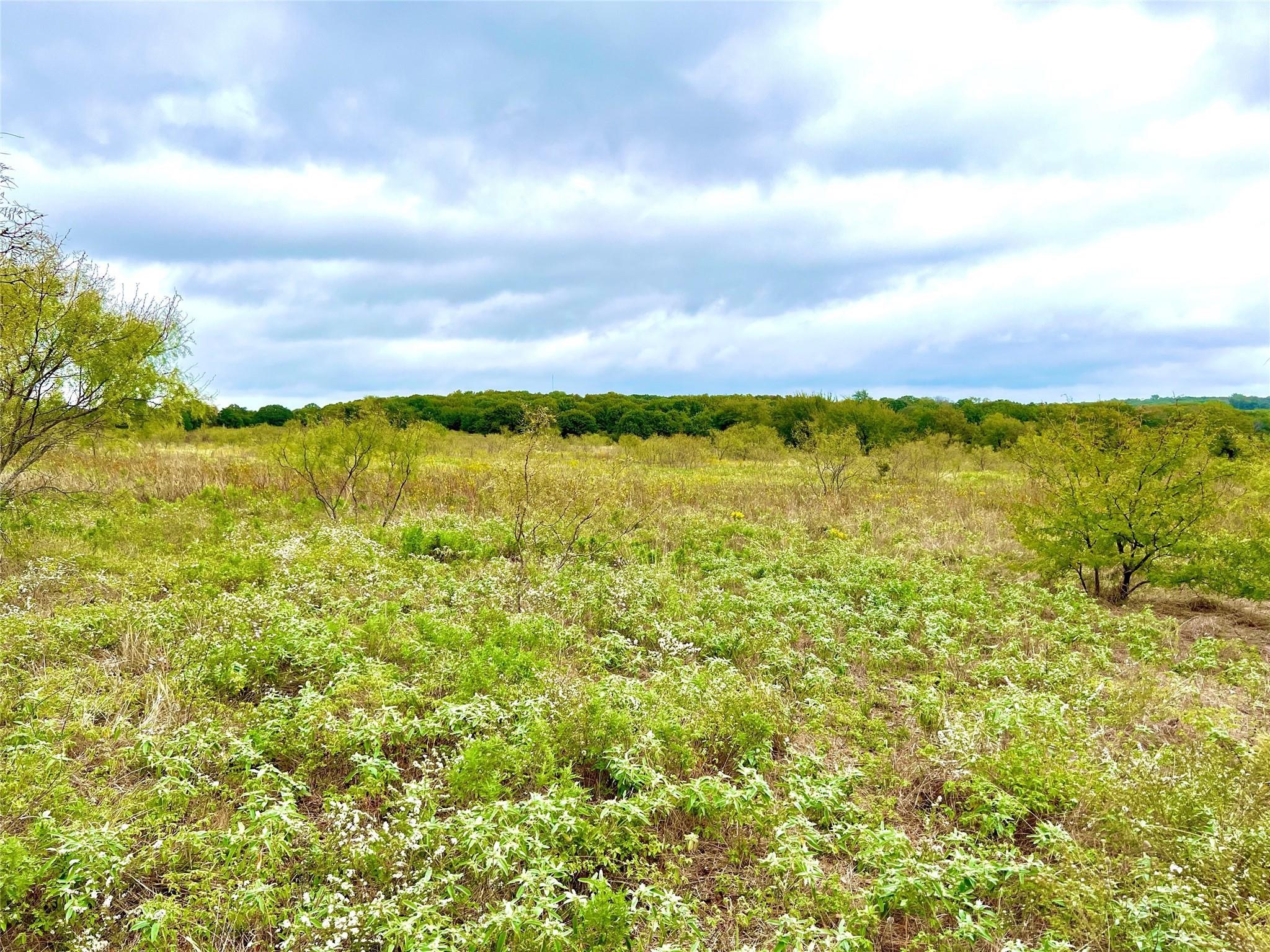 Tbd Cr-2117 Gainesville TX 76240