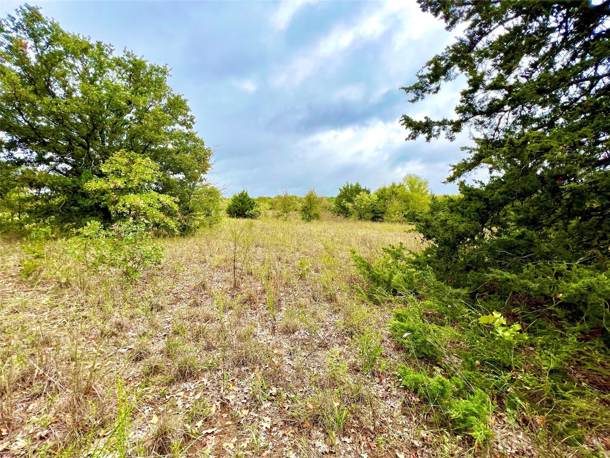 Tbd Cr-2117 Gainesville TX 76240