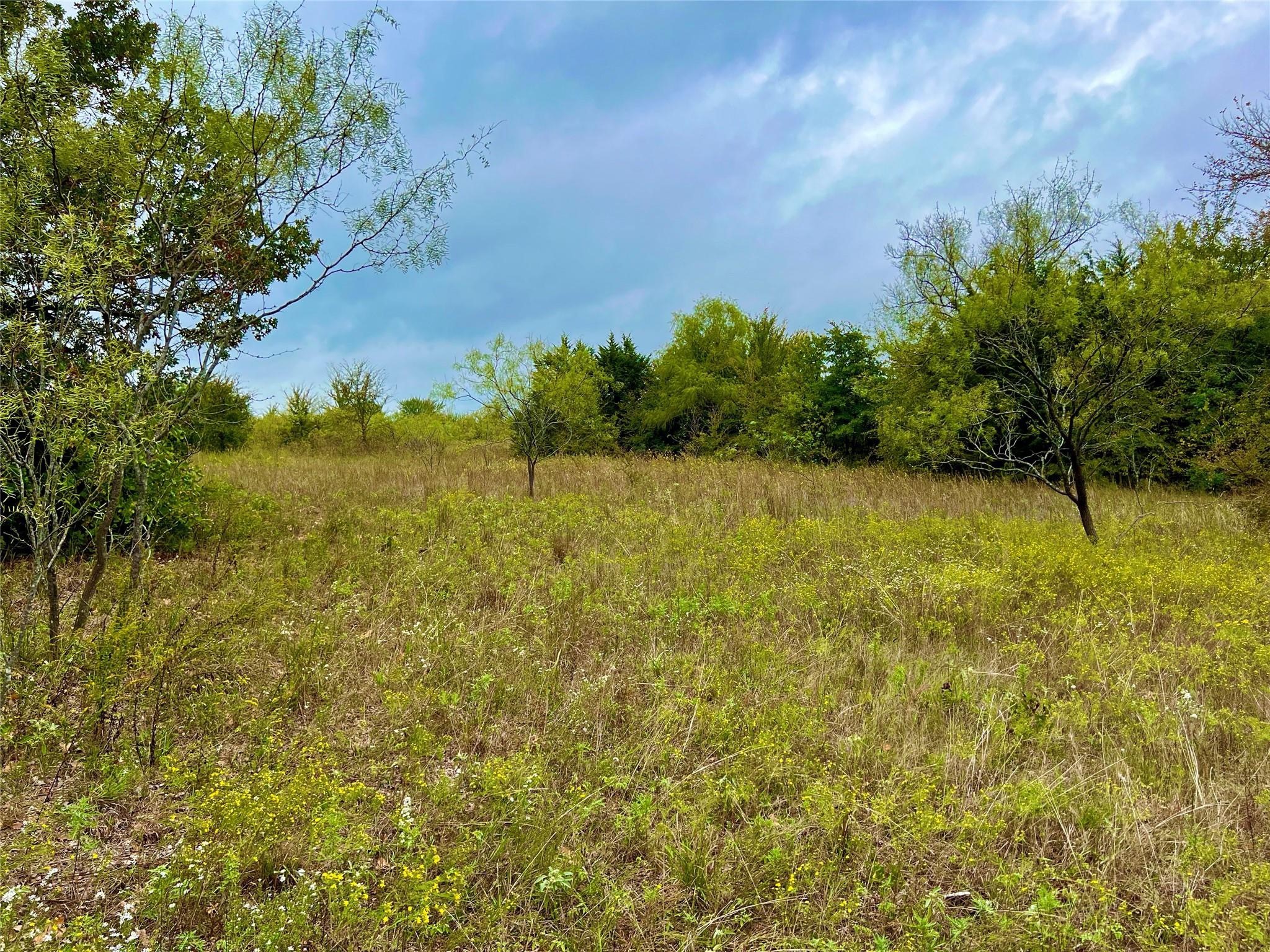 Tbd Cr-2117 Gainesville TX 76240
