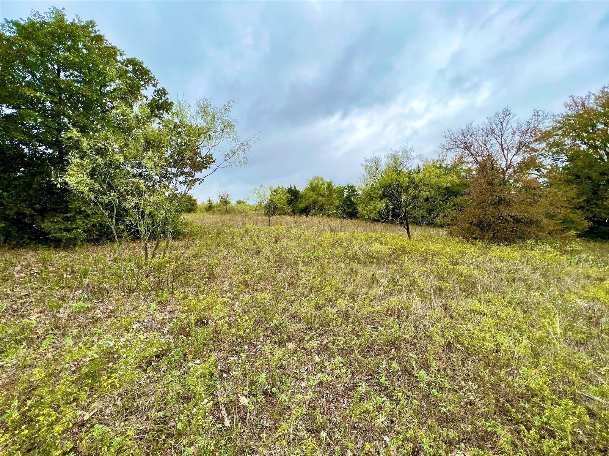Tbd Cr-2117 Gainesville TX 76240