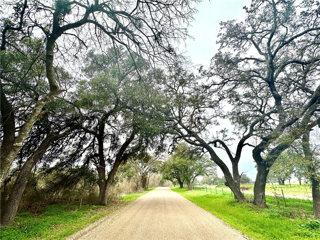 Sunset Ranch Tract 6 & 7 Cr 356 Road Gatesville TX 76528