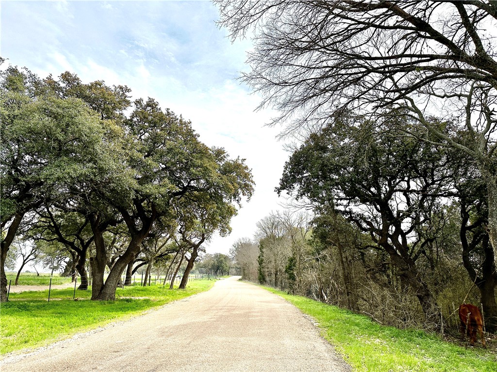 Sunset Ranch Tract 6 & 7 Cr 356 Road Gatesville TX 76528