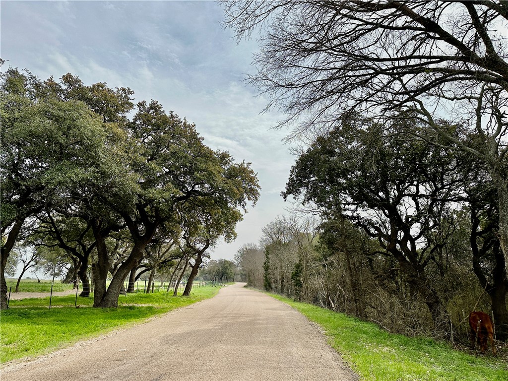 Sunset Ranch Tract 6 & 7 Cr 356 Road Gatesville TX 76528