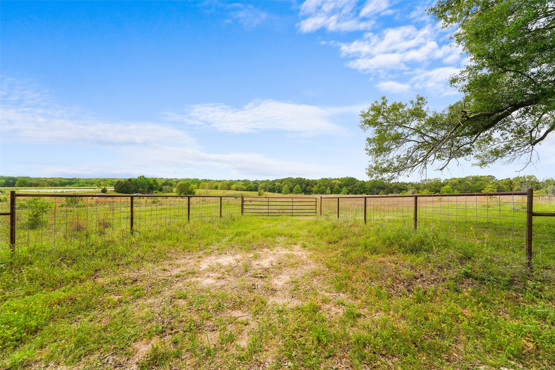 Tbd Co Road 1107 Canton TX 75117