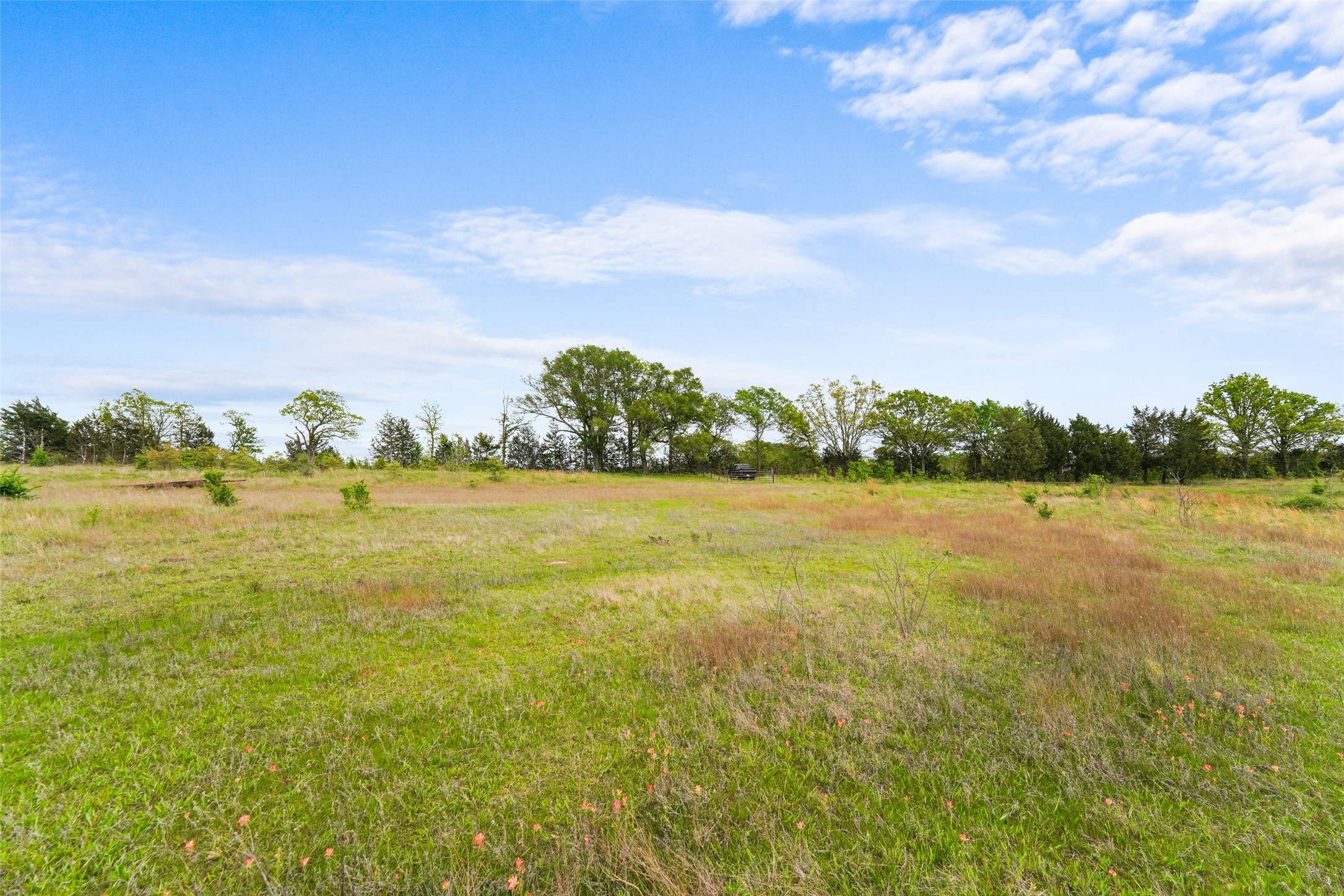 Tbd Co Road 1107 Canton TX 75117