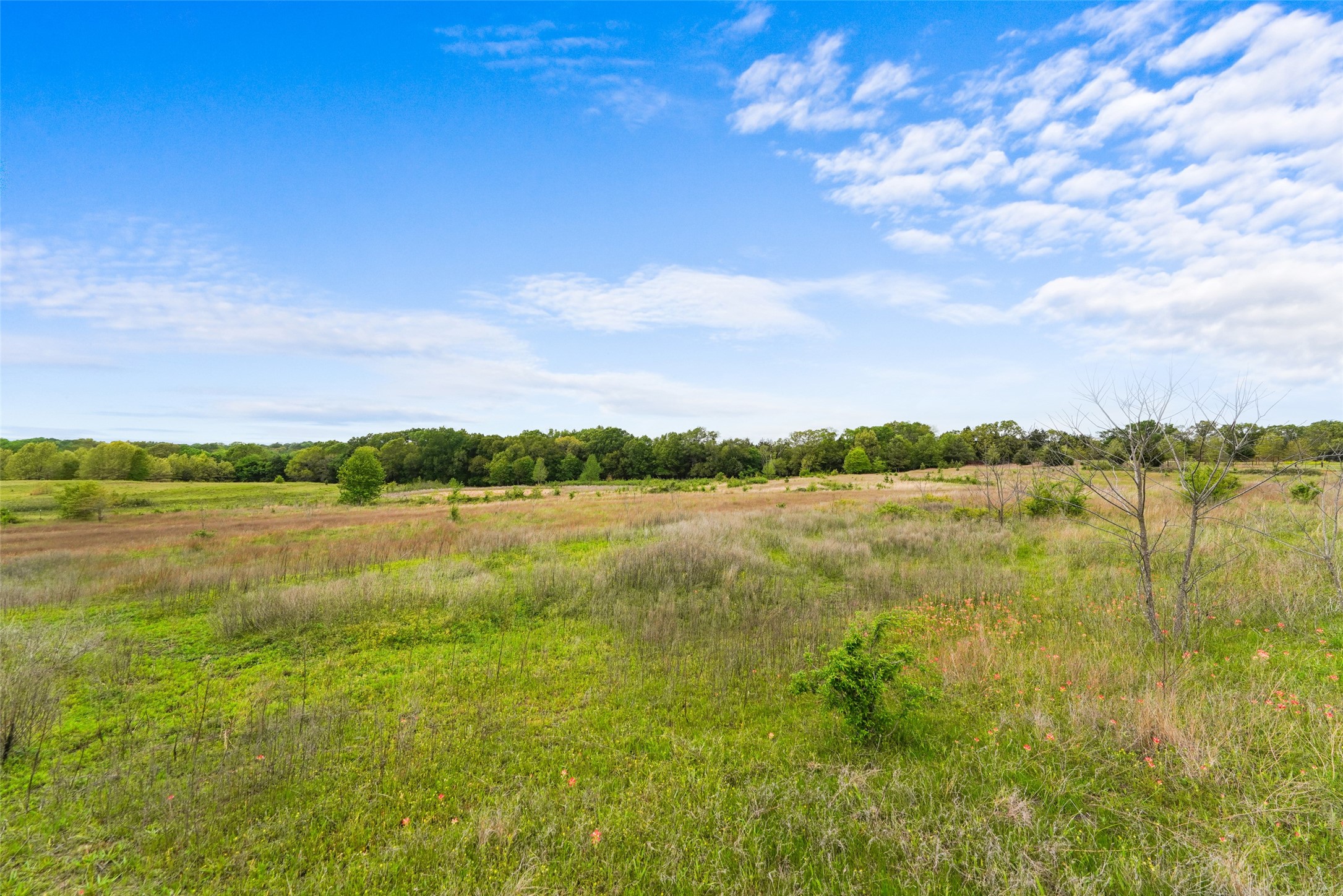 Tbd Co Road 1107 Canton TX 75117