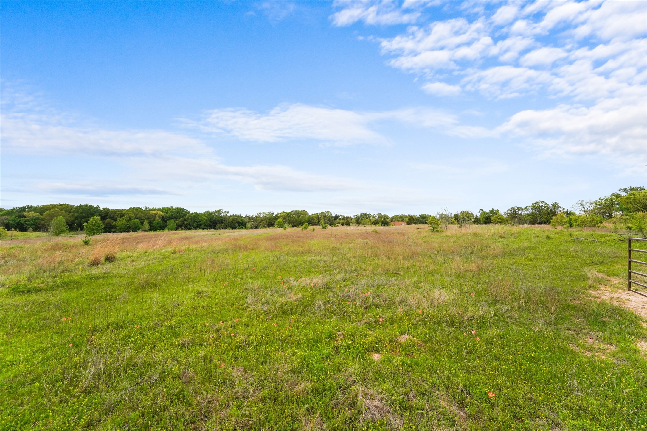 Tbd Co Road 1107 Canton TX 75117