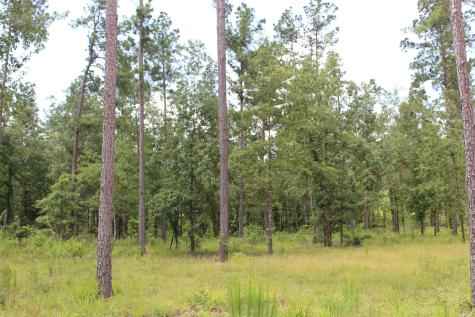 Tract 8 Oak Hill Trail Kennard TX 75847