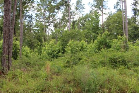 Tract 8 Oak Hill Trail Kennard TX 75847
