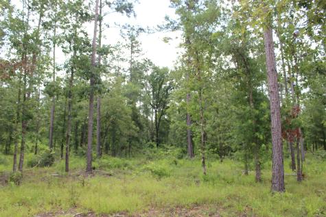 Tract 8 Oak Hill Trail Kennard TX 75847