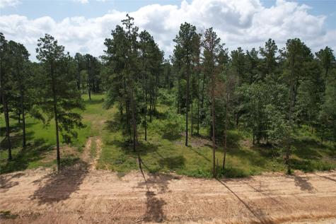 Tract 8 Oak Hill Trail Kennard TX 75847
