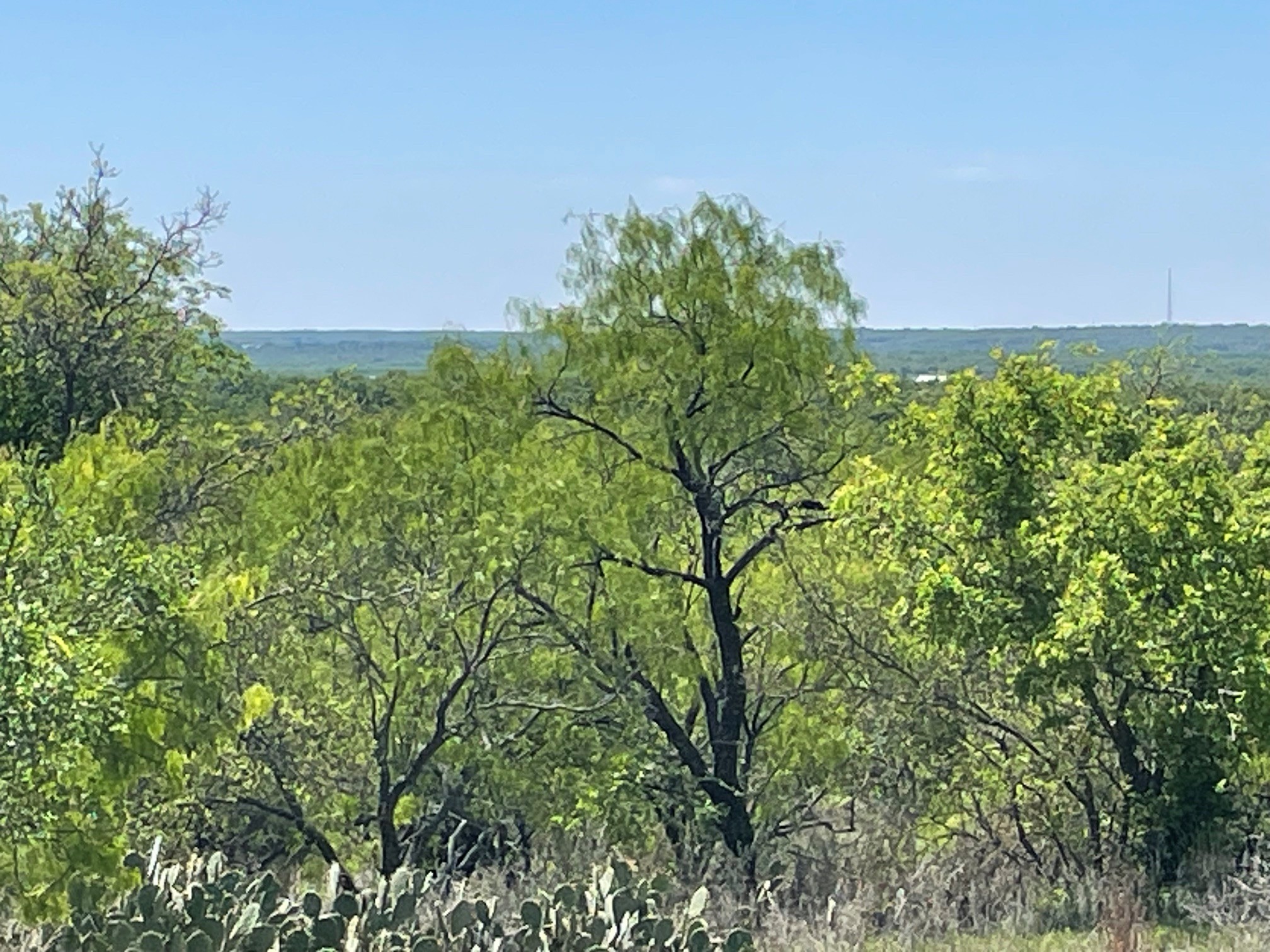 Tbd County Road Eastland TX 76448