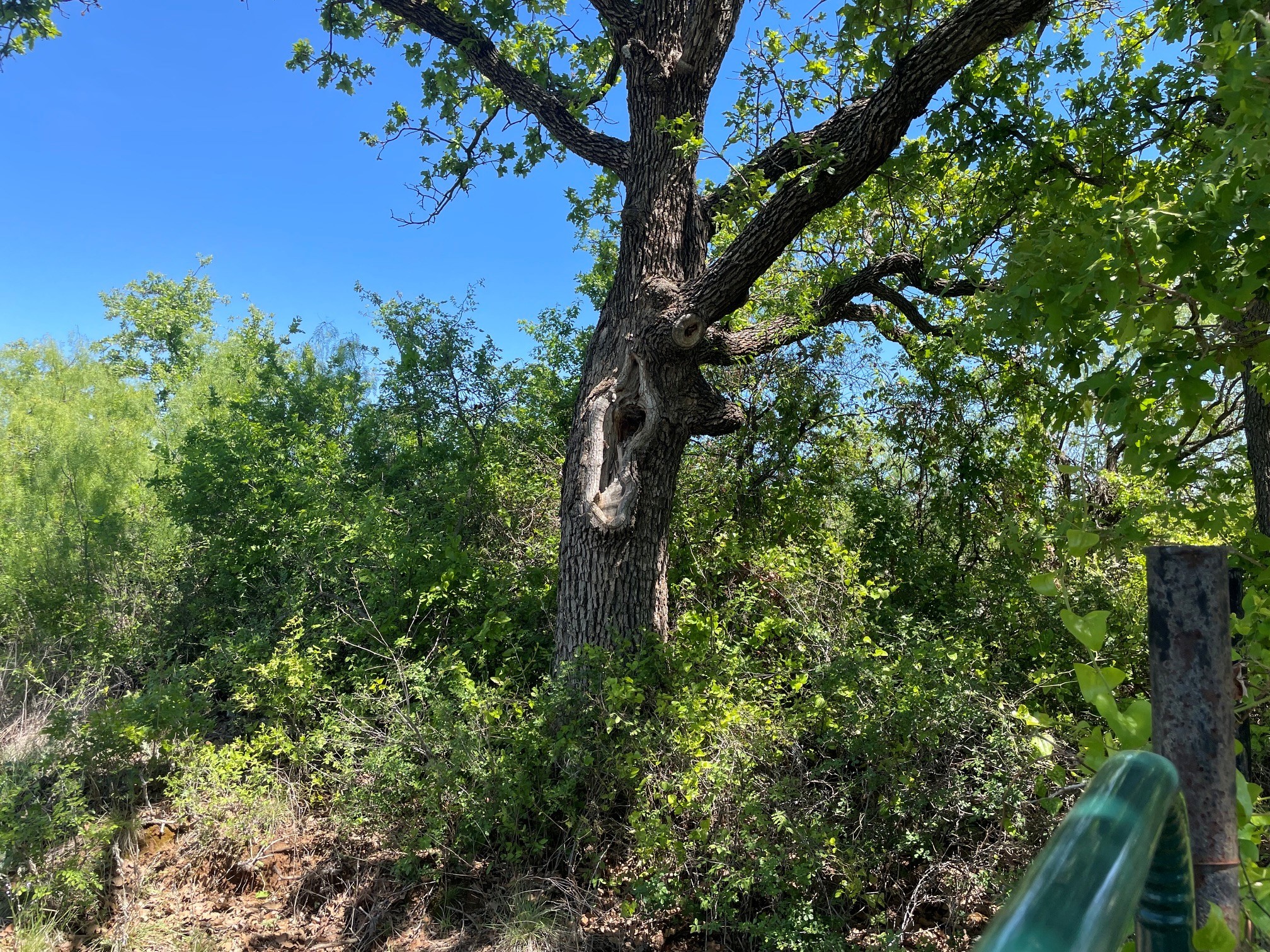 Tbd County Road Eastland TX 76448