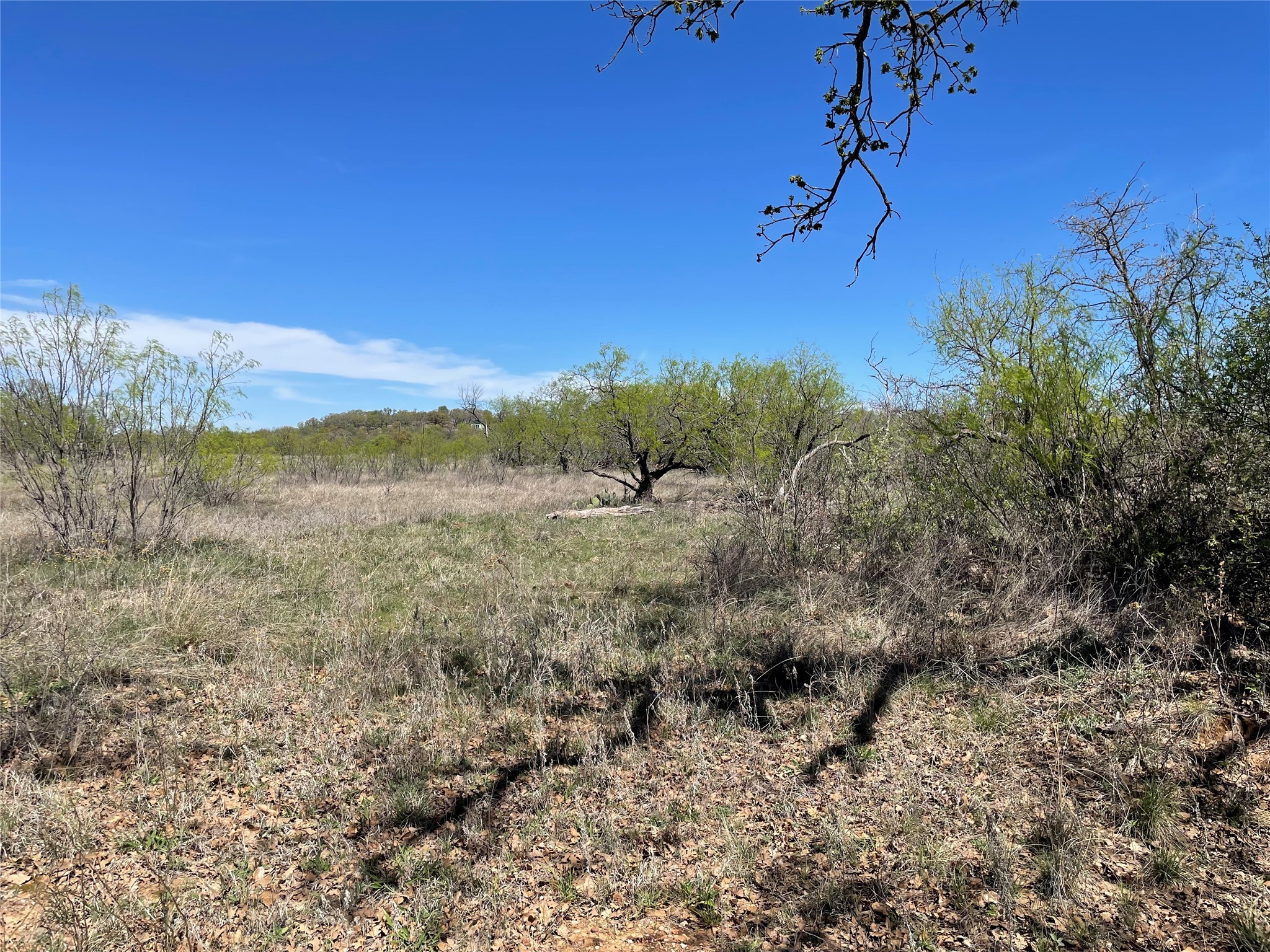 Tbd County Road Eastland TX 76448