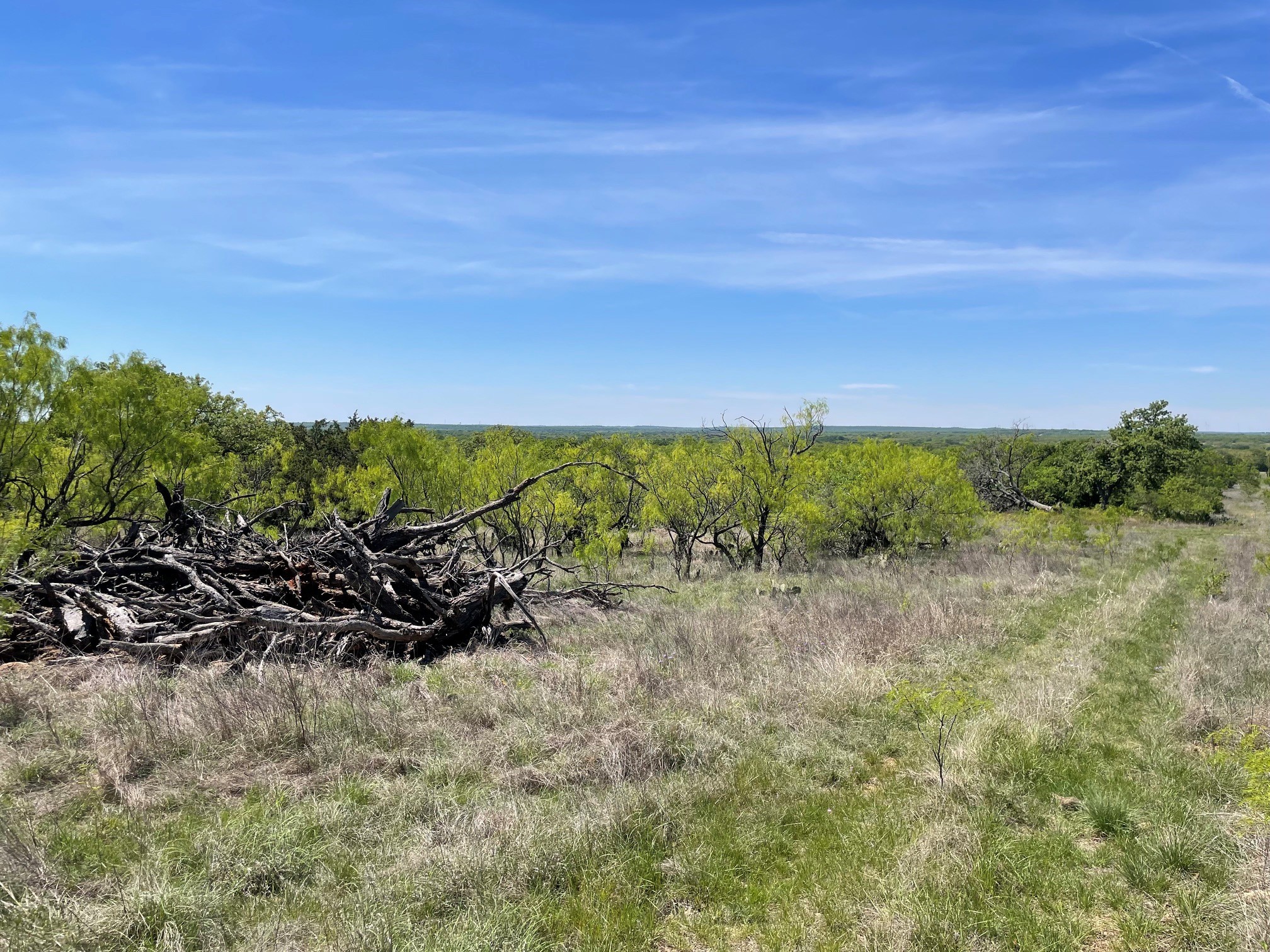 Tbd County Road Eastland TX 76448