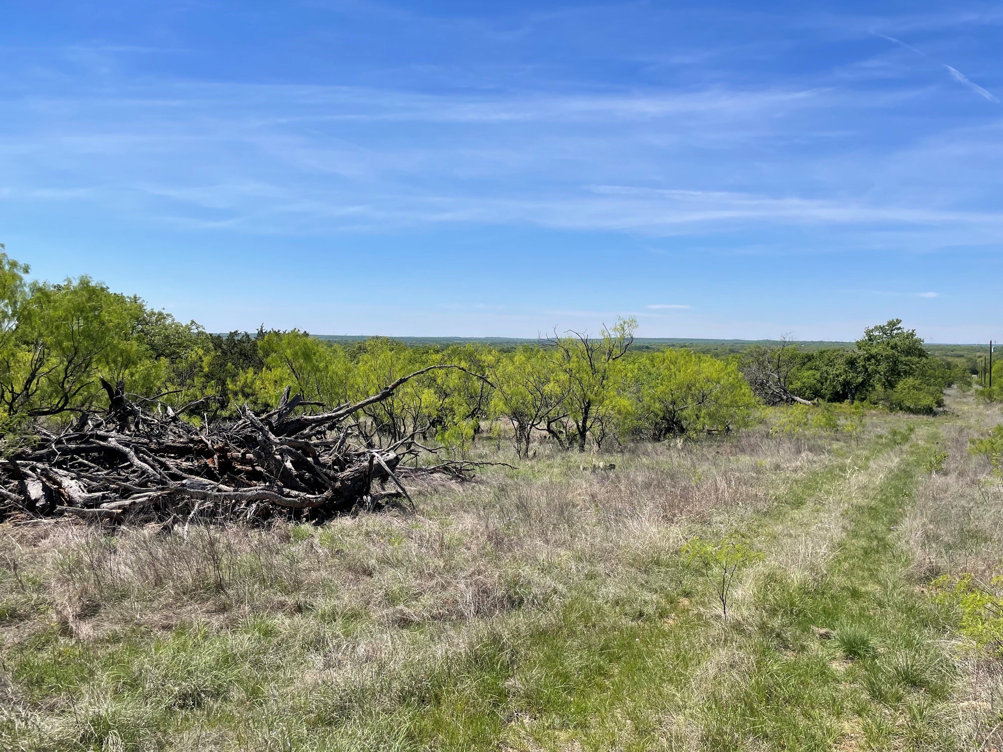 Tbd County Road Eastland TX 76448