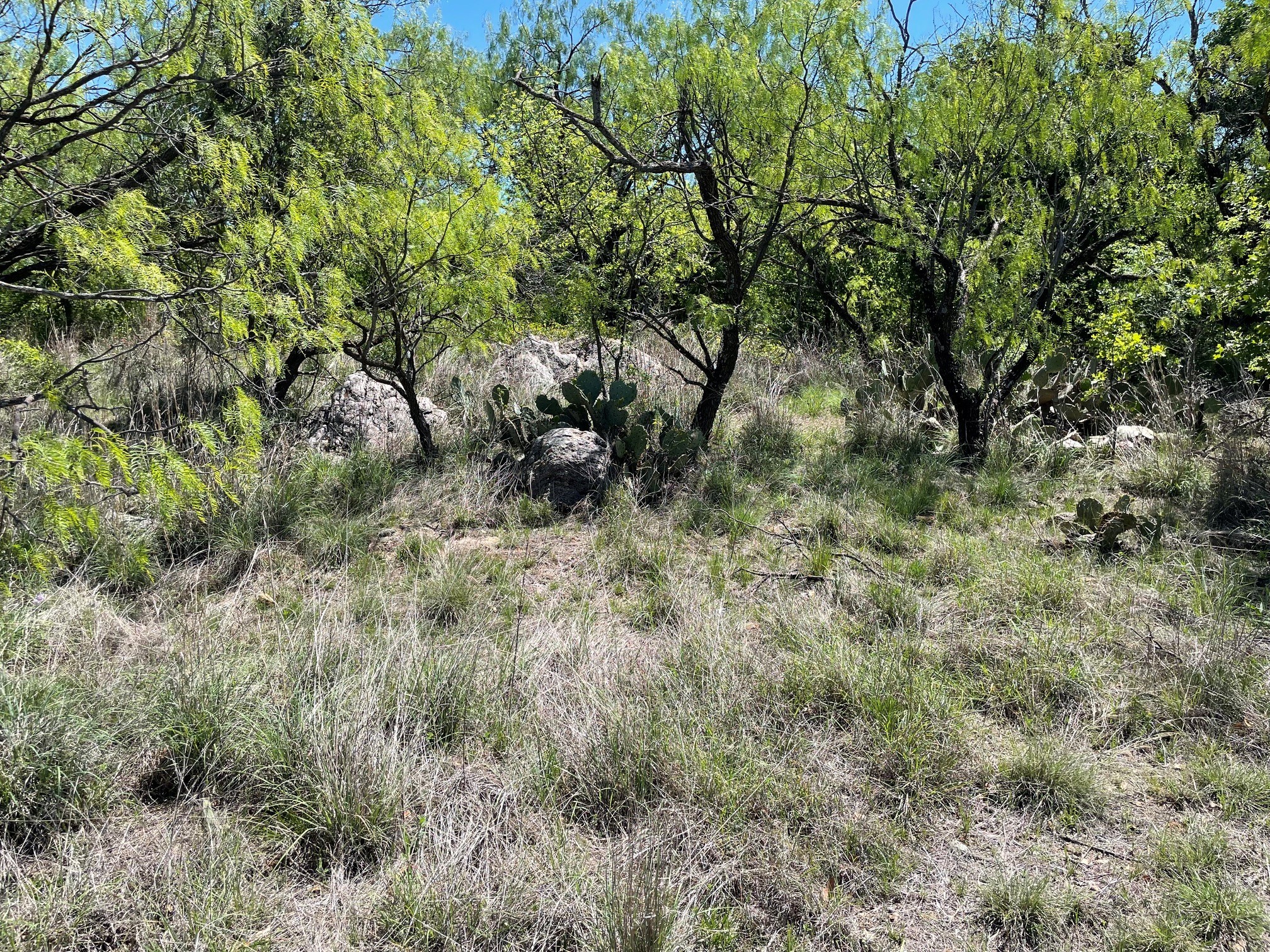 Tbd County Road Eastland TX 76448