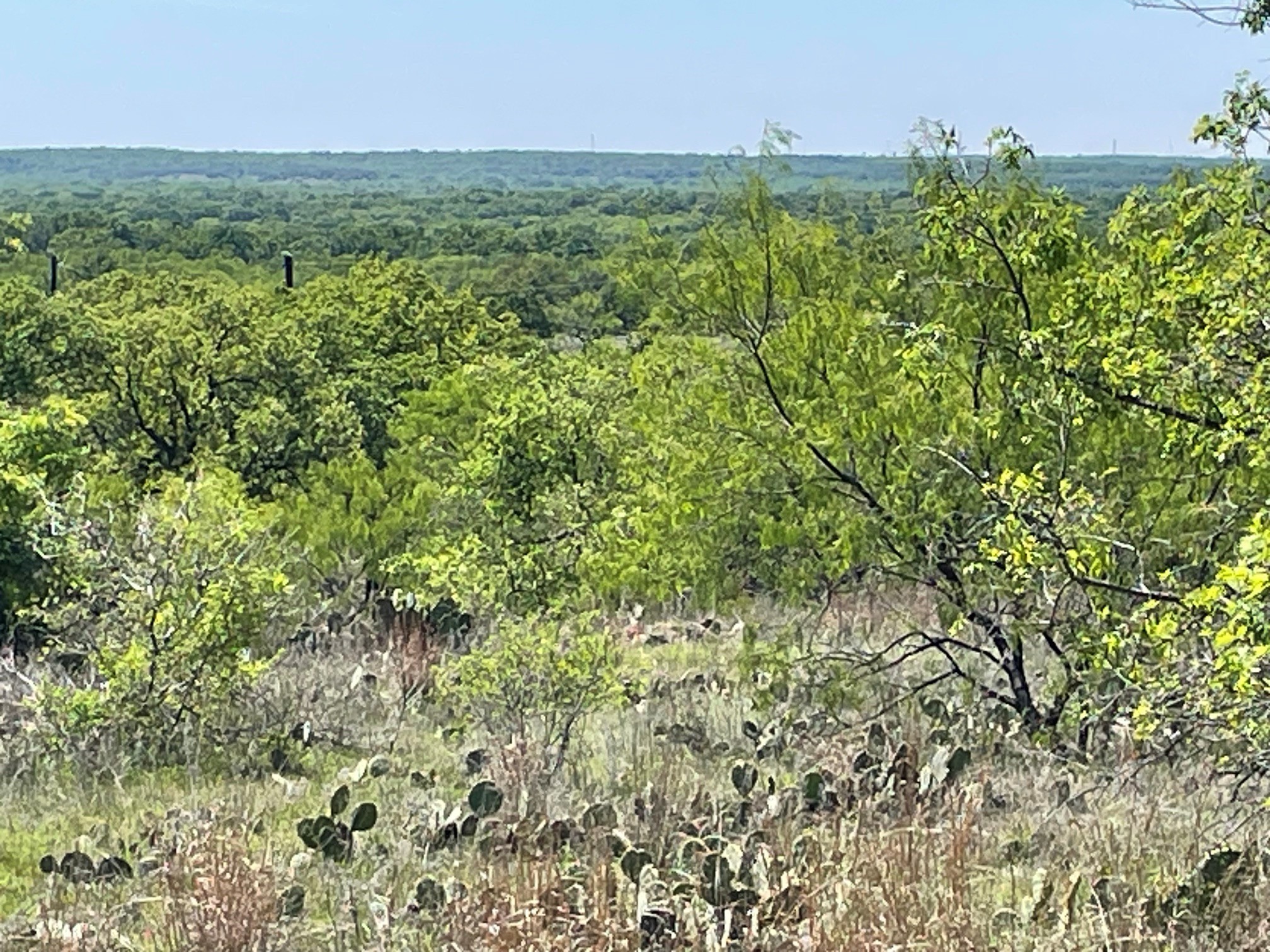 Tbd County Road Eastland TX 76448