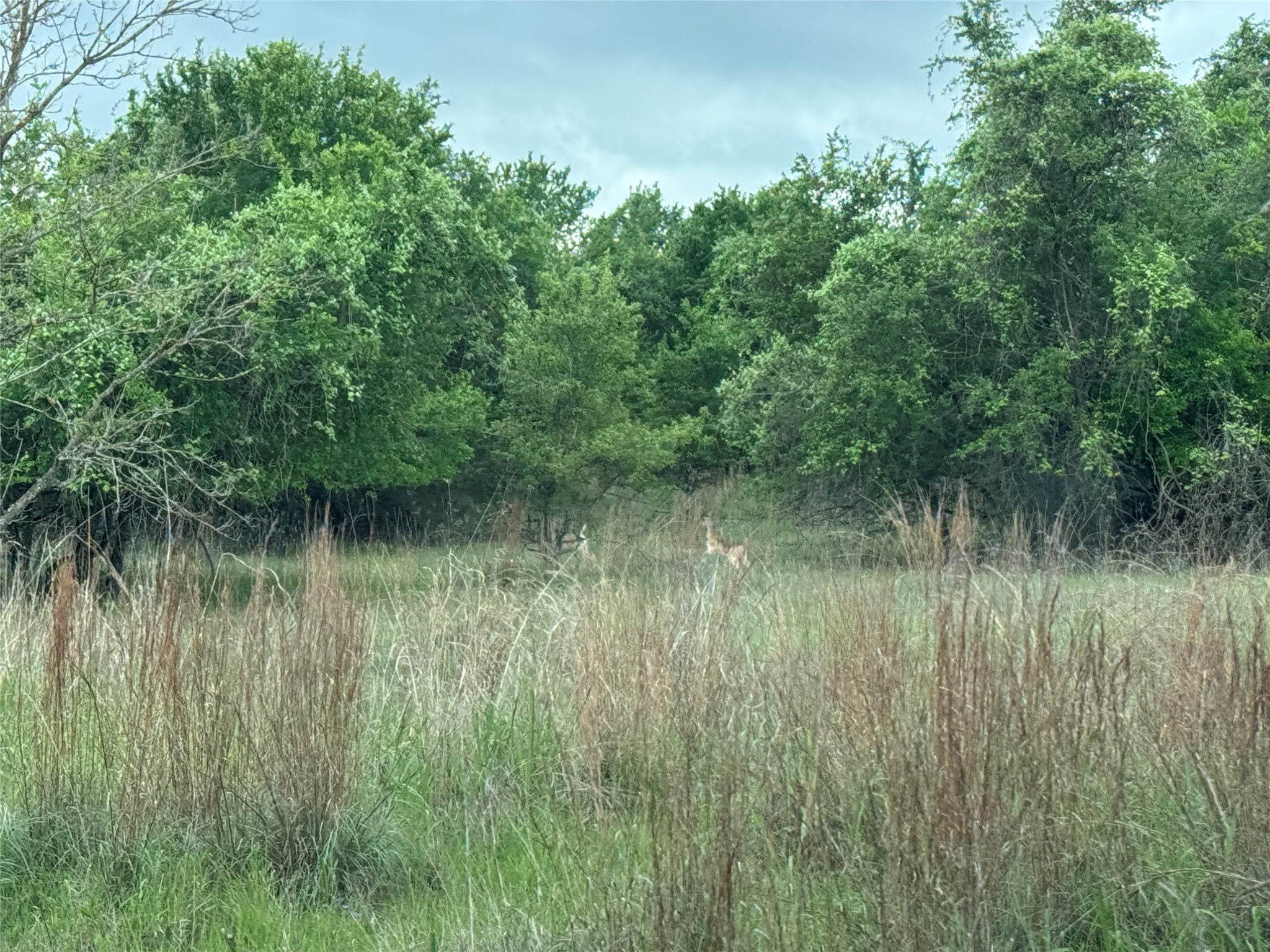 Tbd Guadalupe Weatherford TX 76087