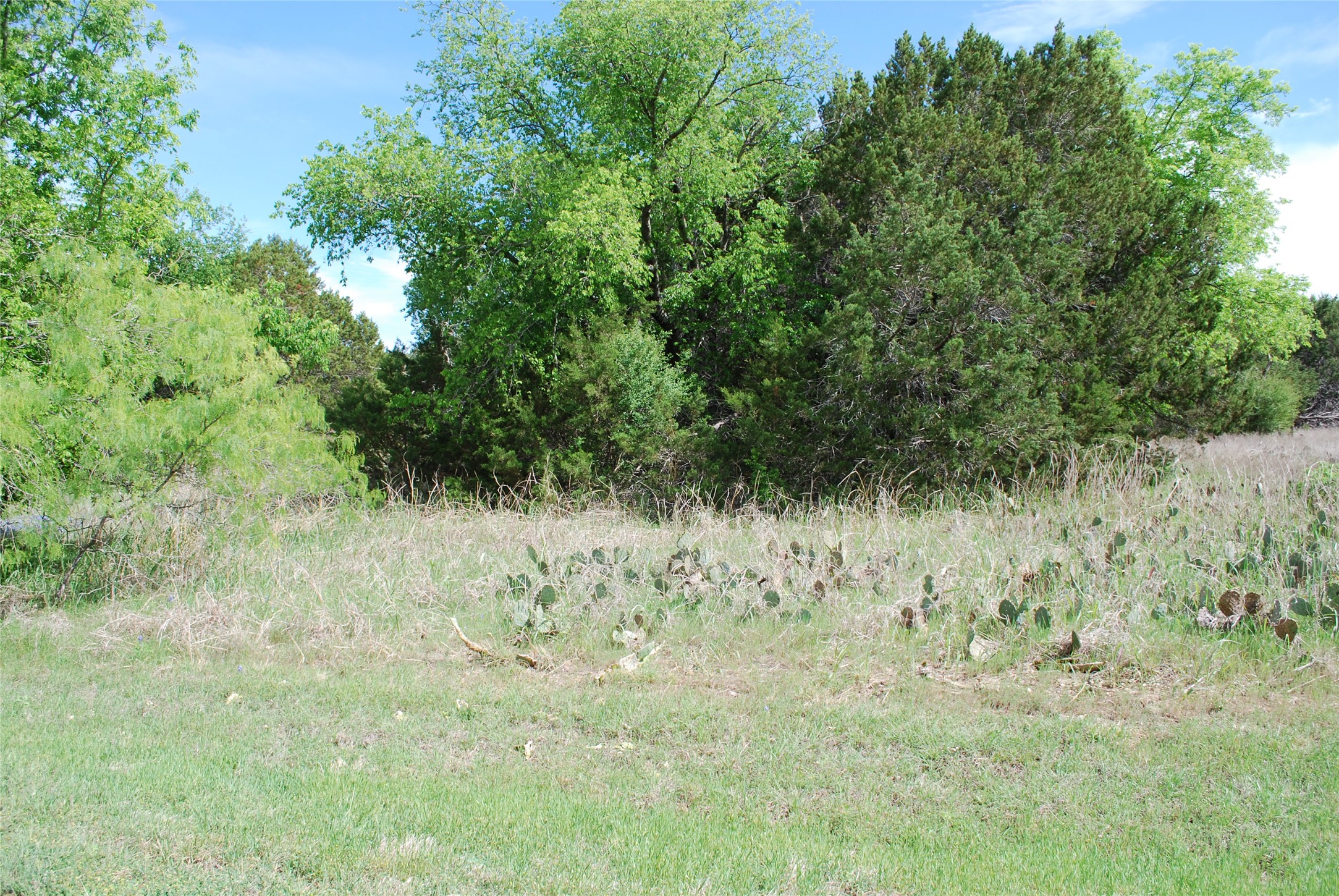 45011 Fringewood Drive Whitney TX 76692