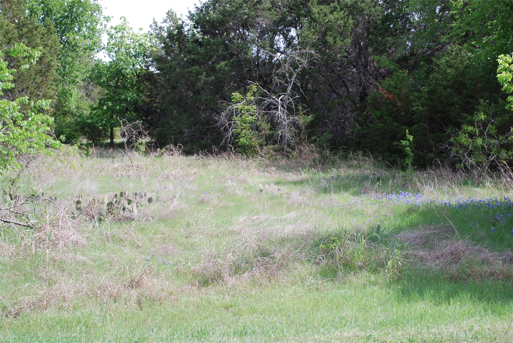 45011 Fringewood Drive Whitney TX 76692