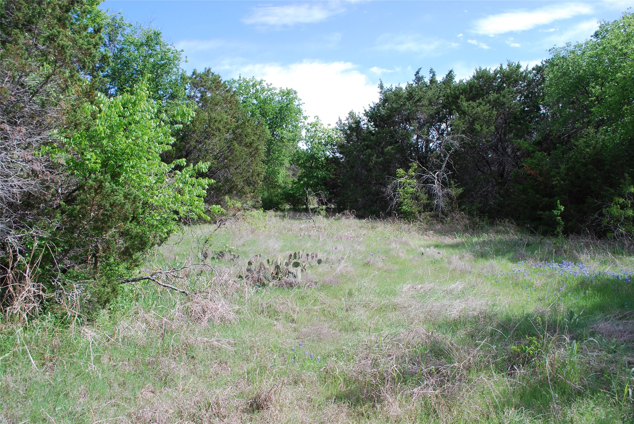 45011 Fringewood Drive Whitney TX 76692