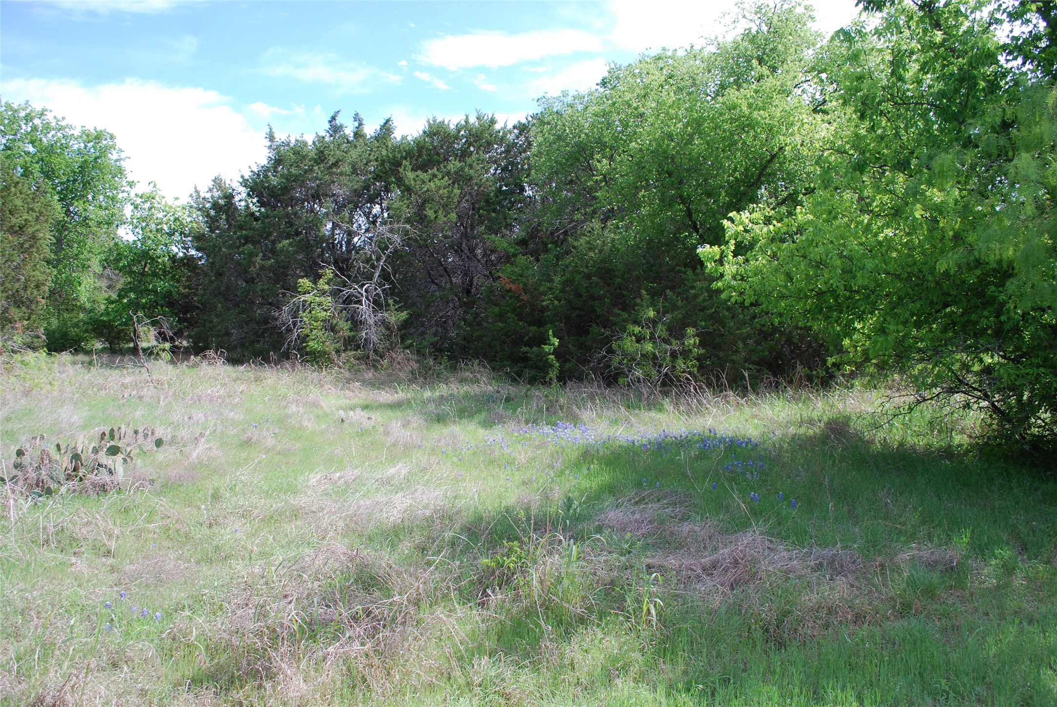 45011 Fringewood Drive Whitney TX 76692