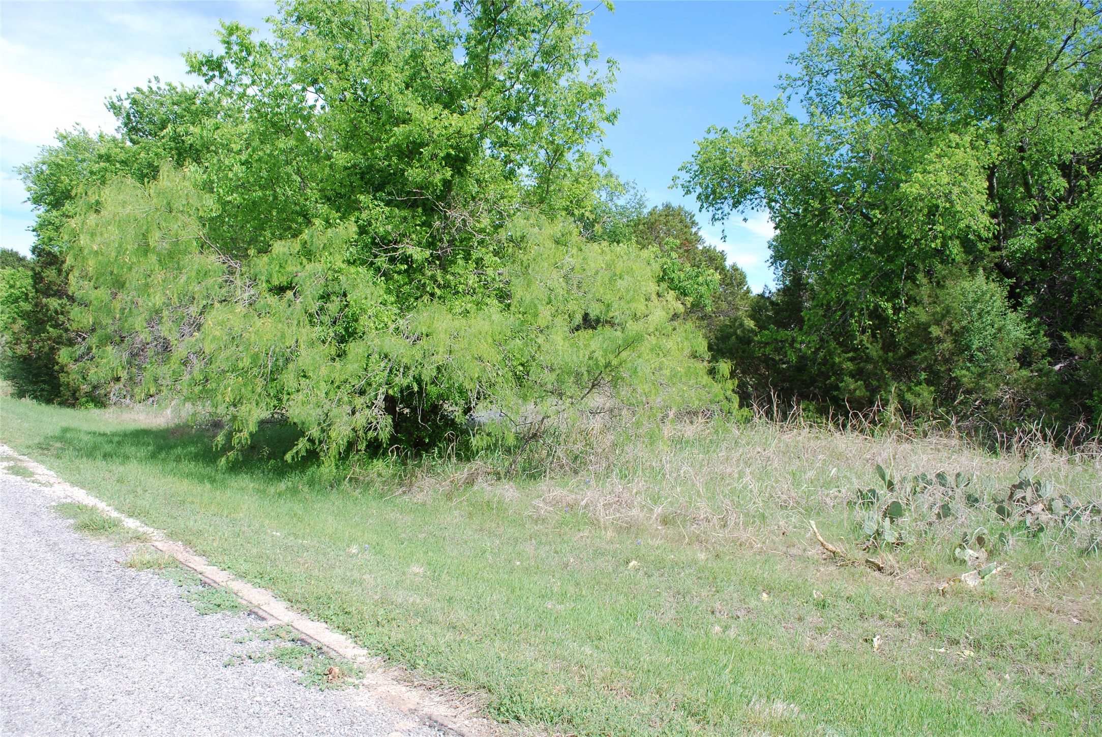 45011 Fringewood Drive Whitney TX 76692